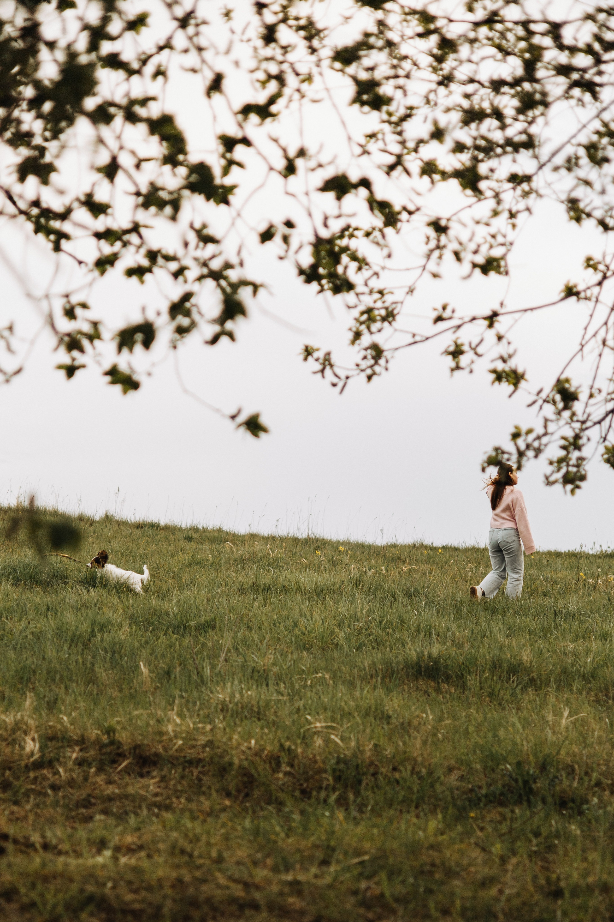 услуги фотографа спб цены за час