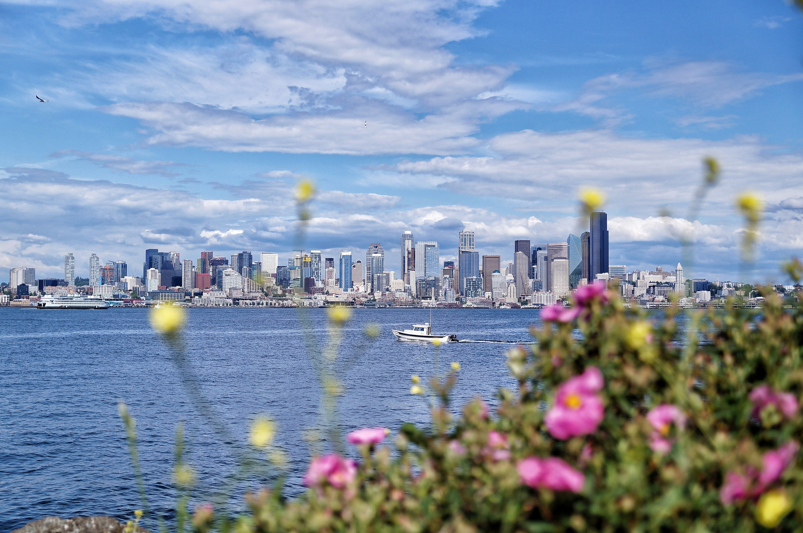 Emerald City. Мои фото