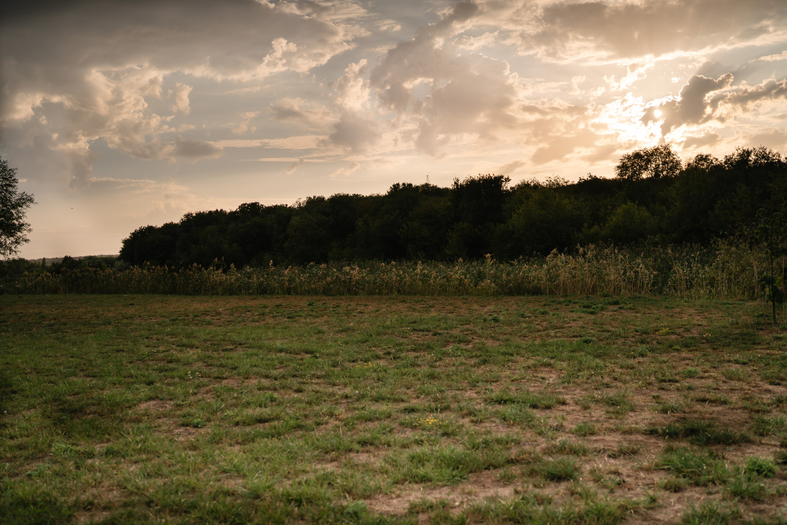 Локации для школьных съемок. Семейный фотограф и видеограф Ростов-на-Дону