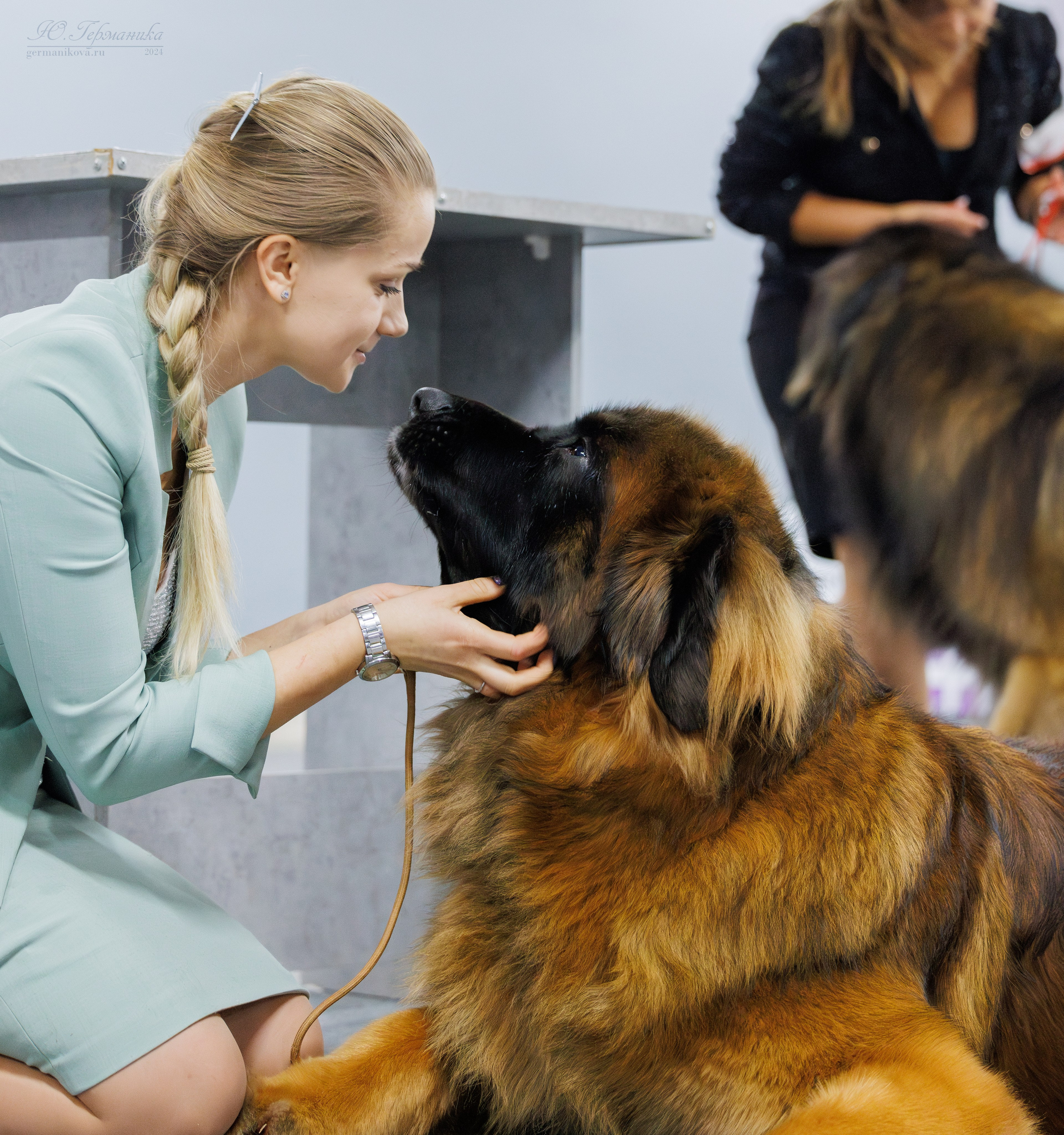 Крокус 21.12.2024,Сфера 29.12.2024. Фотограф-анималист Юлия Германика