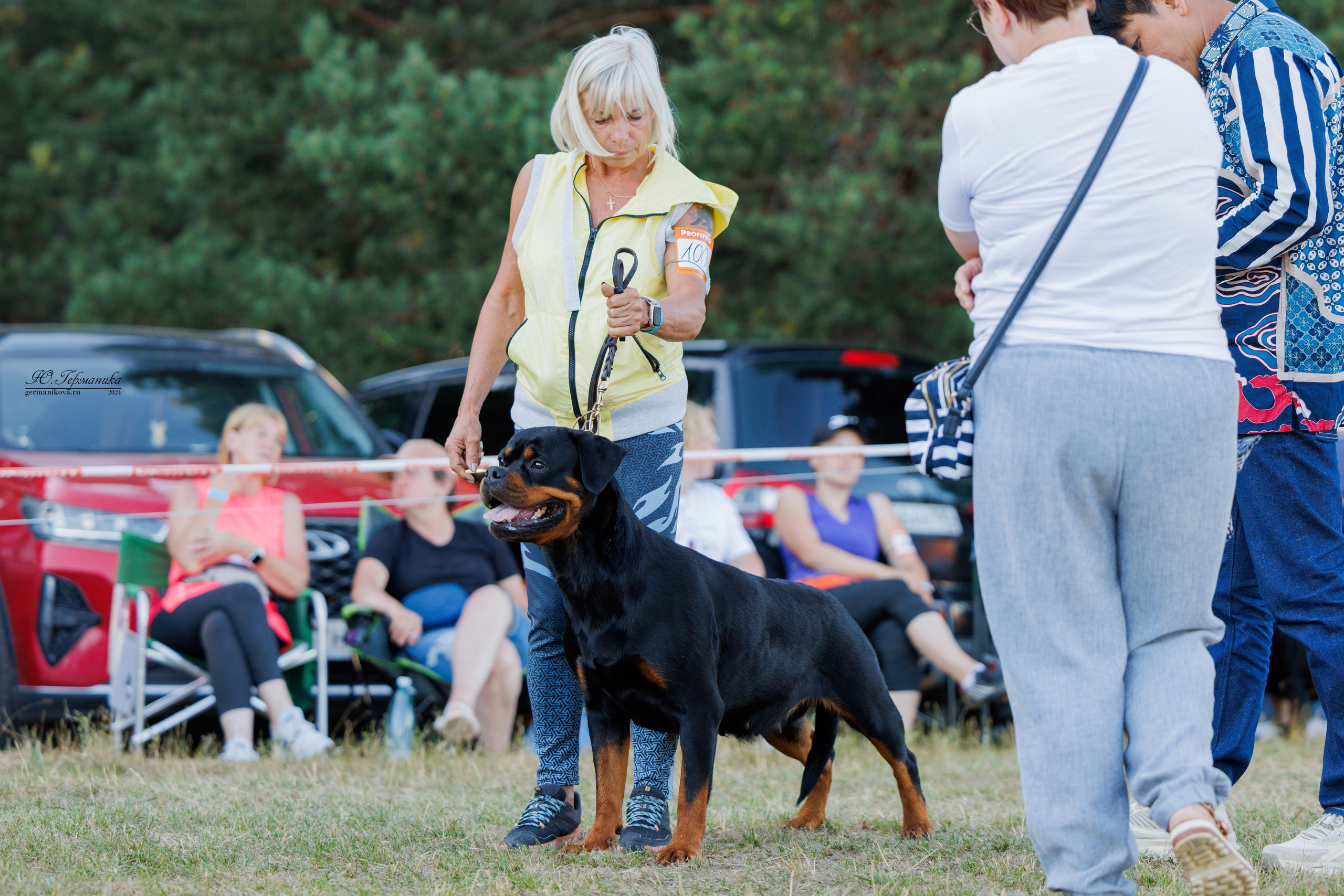 ПК и КЧК ротвейлеры Тверь 6-7.07.2024. Фотограф-анималист Юлия Германика