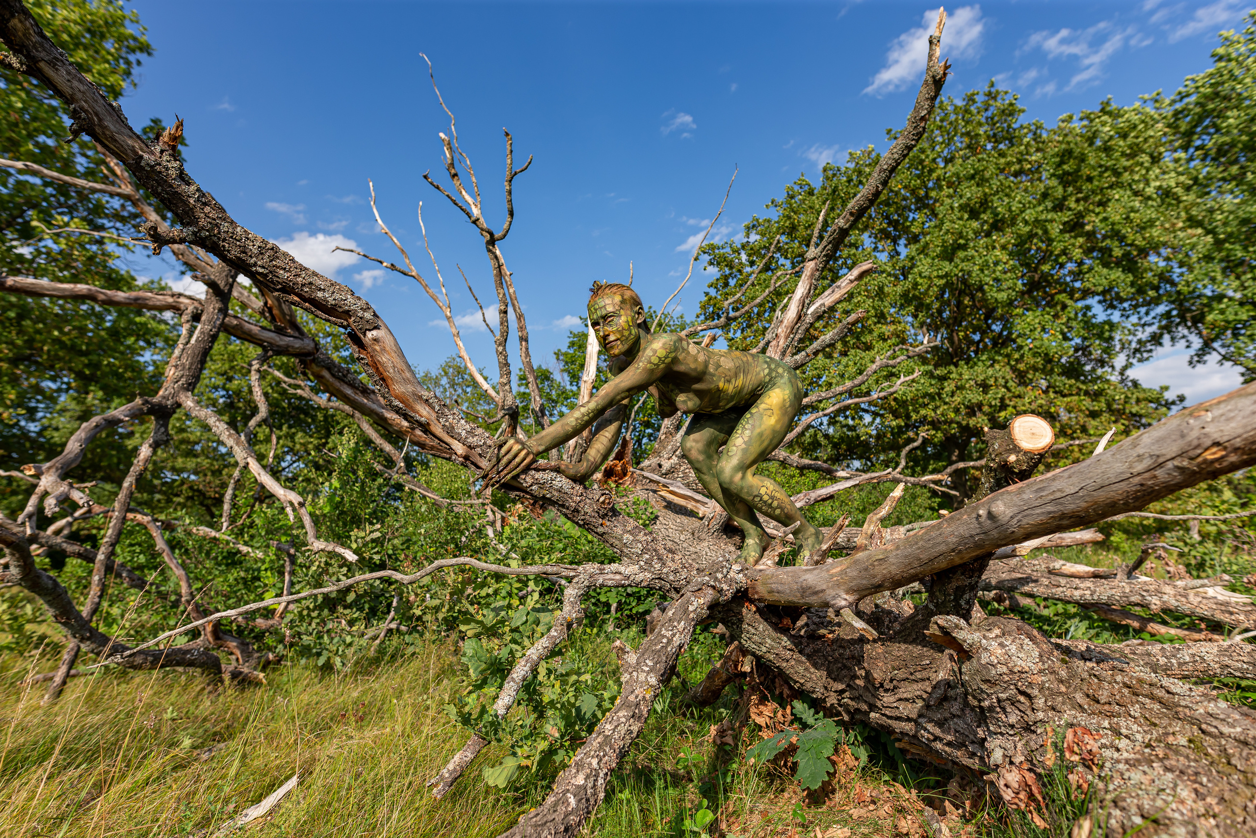 BodyArt. Фотограф Павел Шрайбикус