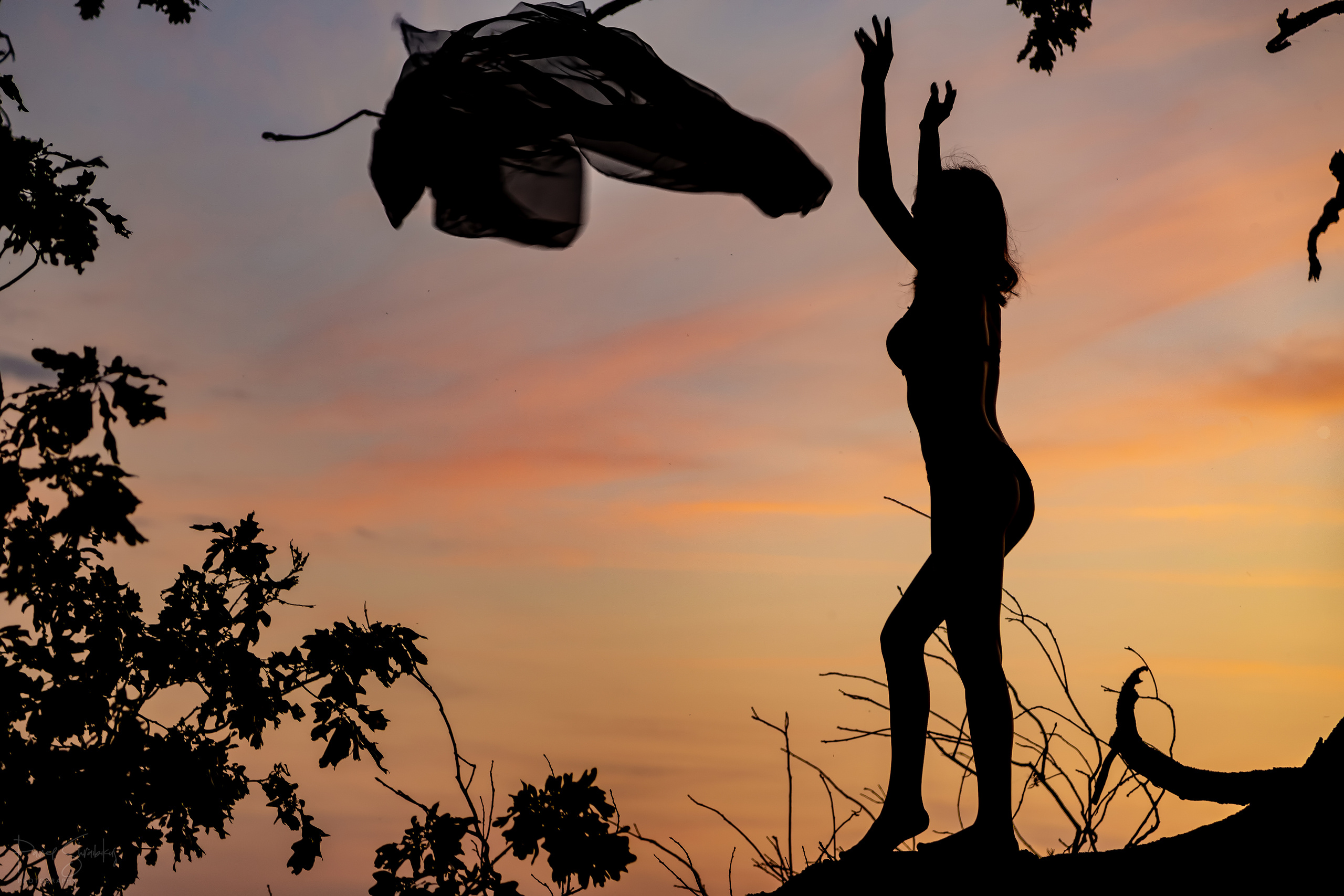 Силуэты. Фотограф Павел Шрайбикус