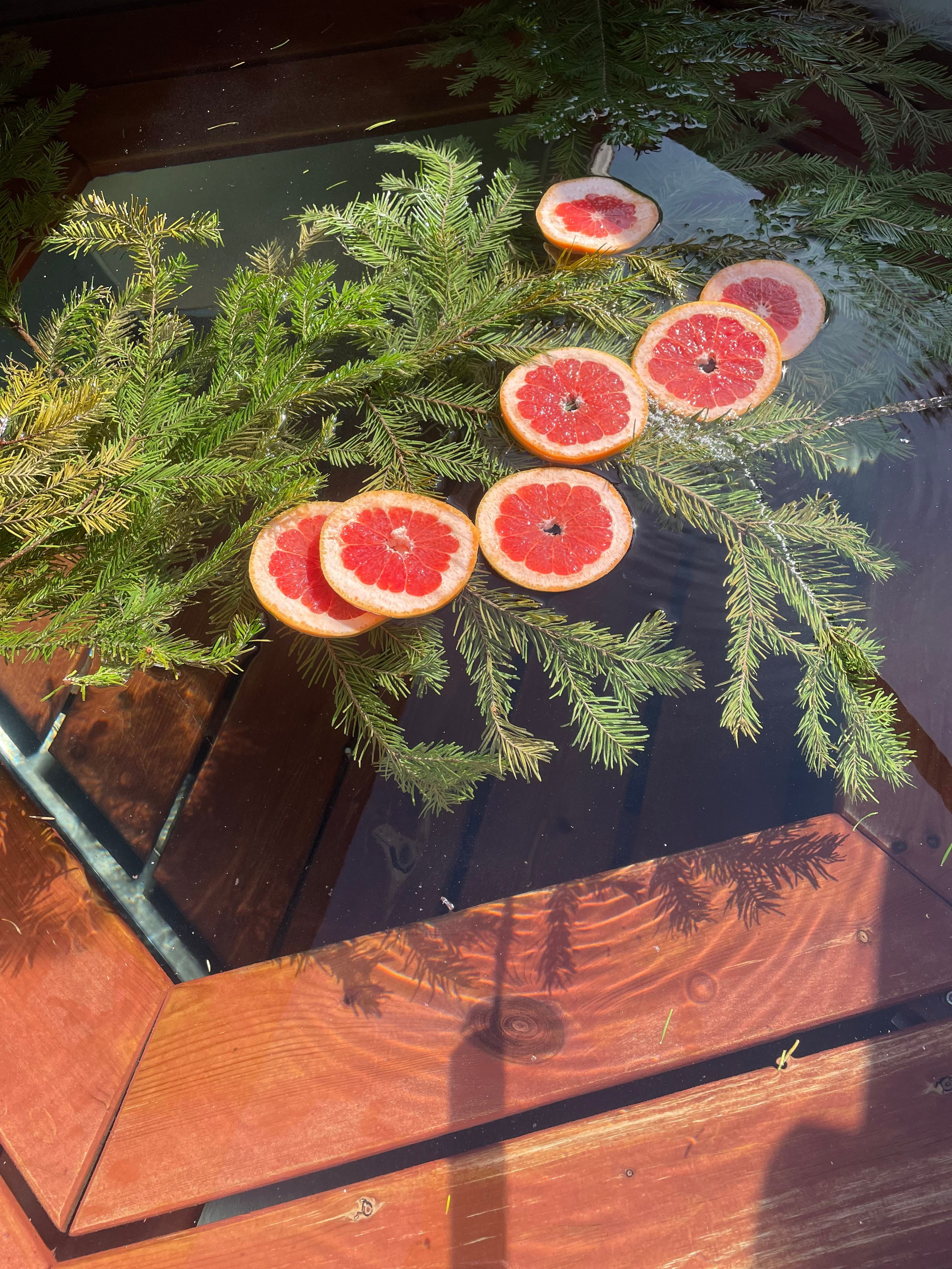 Чан. Организатор загородного отдыха в Переславле Валерия