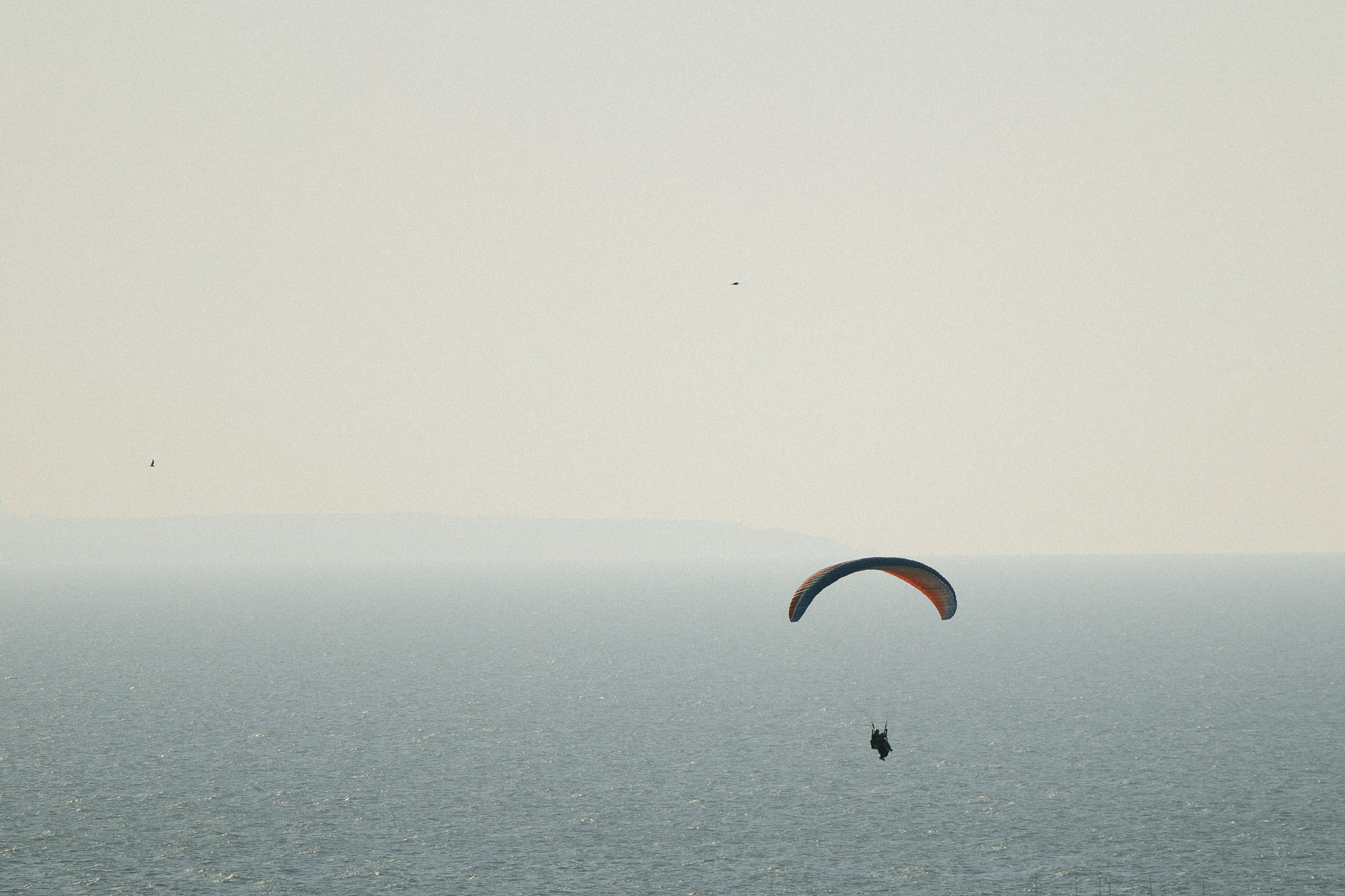 Потанцуй со мной!. Свадебный и репортажный фотограф Новороссийск, Краснодар, Сочи Олеся Дзюба