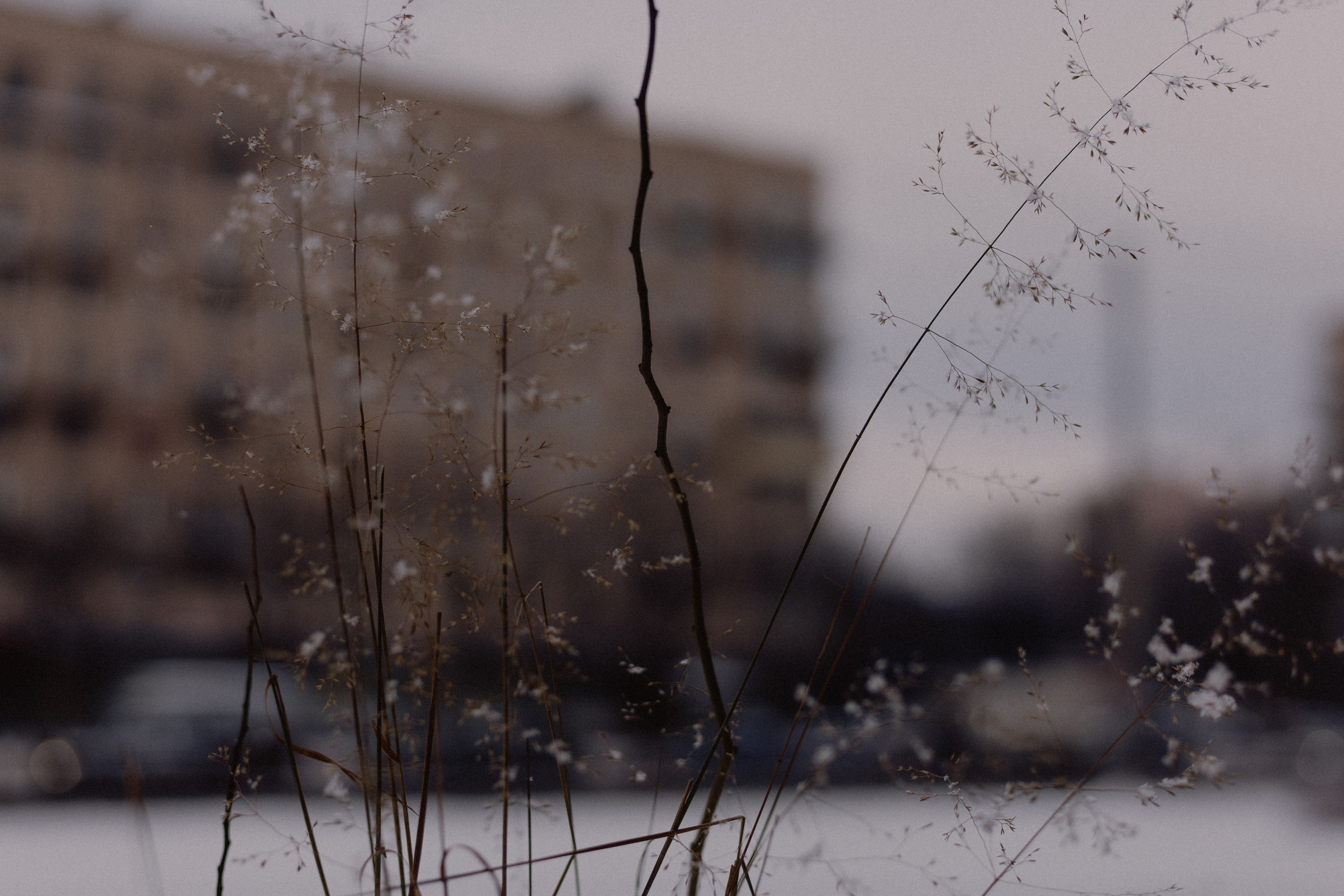 № 25. WAYHAY — Портретный фотограф