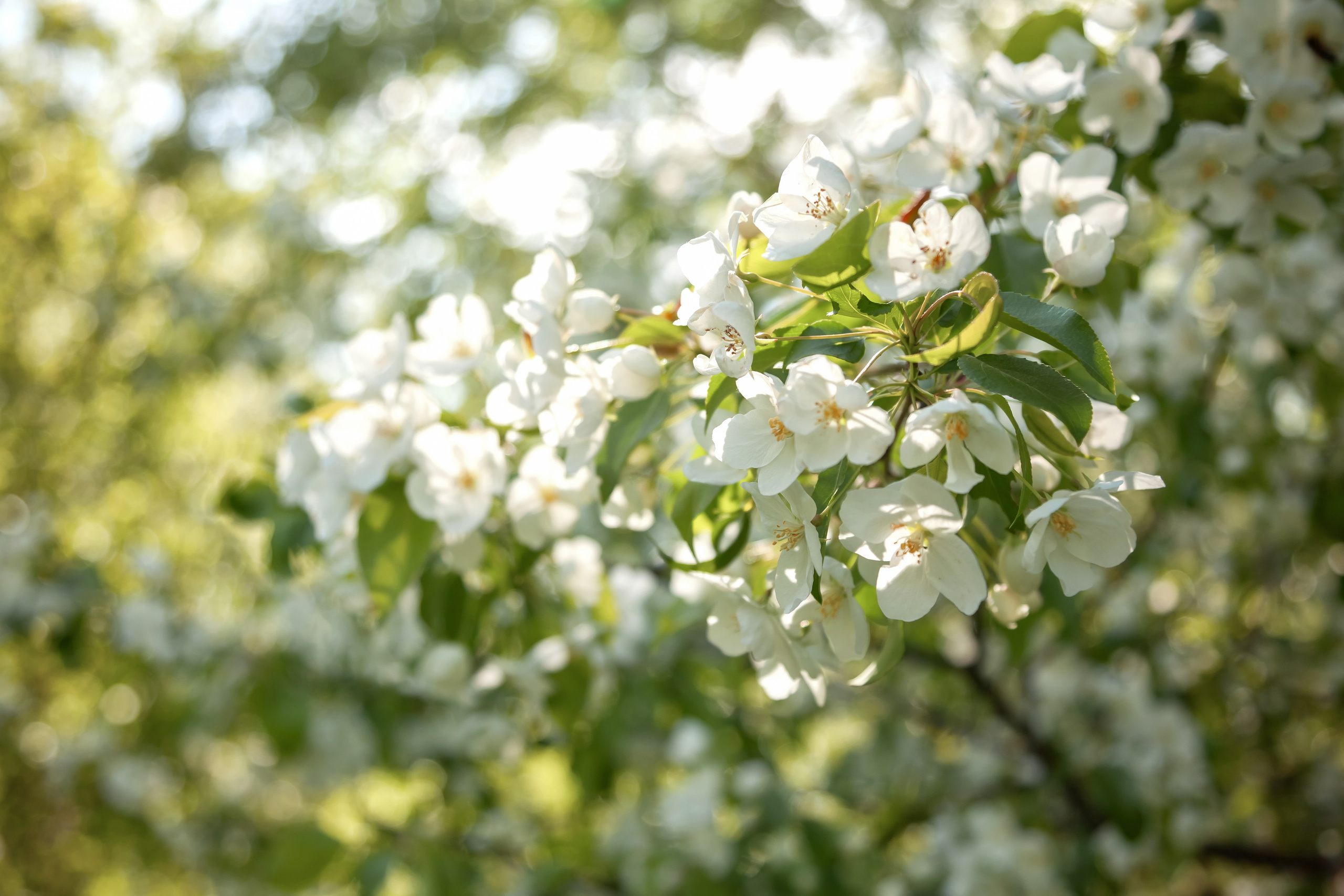 Семья — это там, где любят. Фотограф в Томске Евгения Гуляева