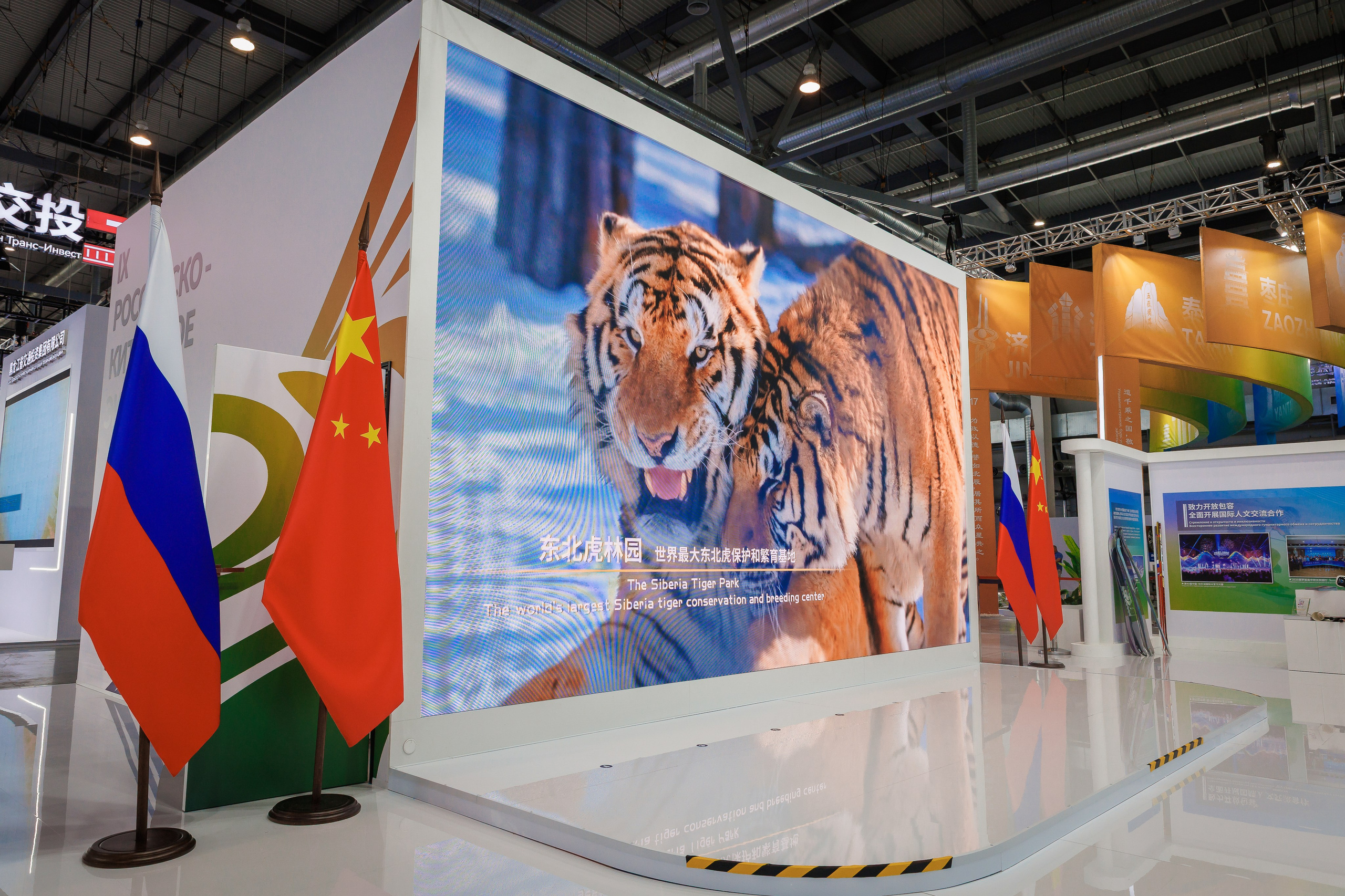 CR Expo IX Российско-Китайское Экспо. Братилов Александр | Конференции. Выставки. Портреты