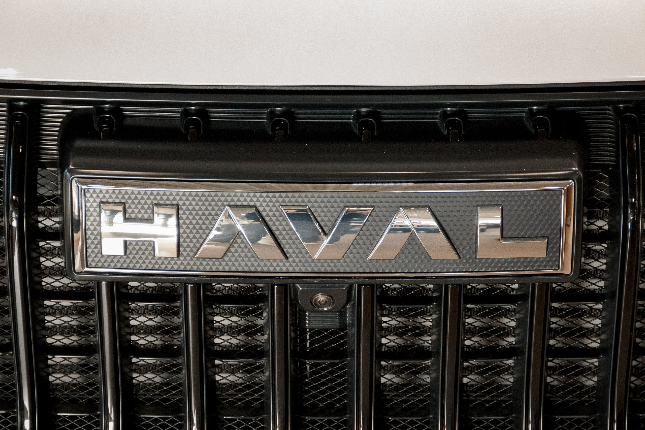 Репортажи. Фотограф Великий Новгород Татьяна Чиглинцева