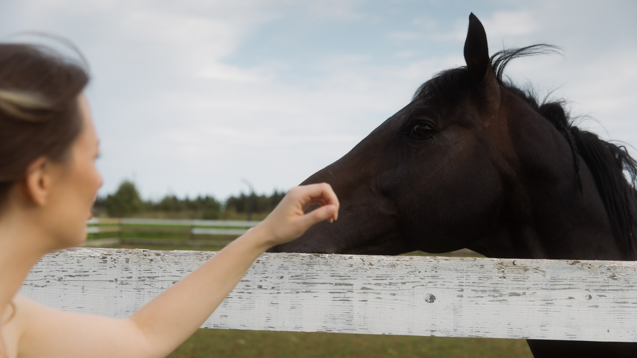 Алиса и Слава, роспись в Москве и вечеринка на природе, подальше от города. Фотограф в Москве Екатерина Черненко