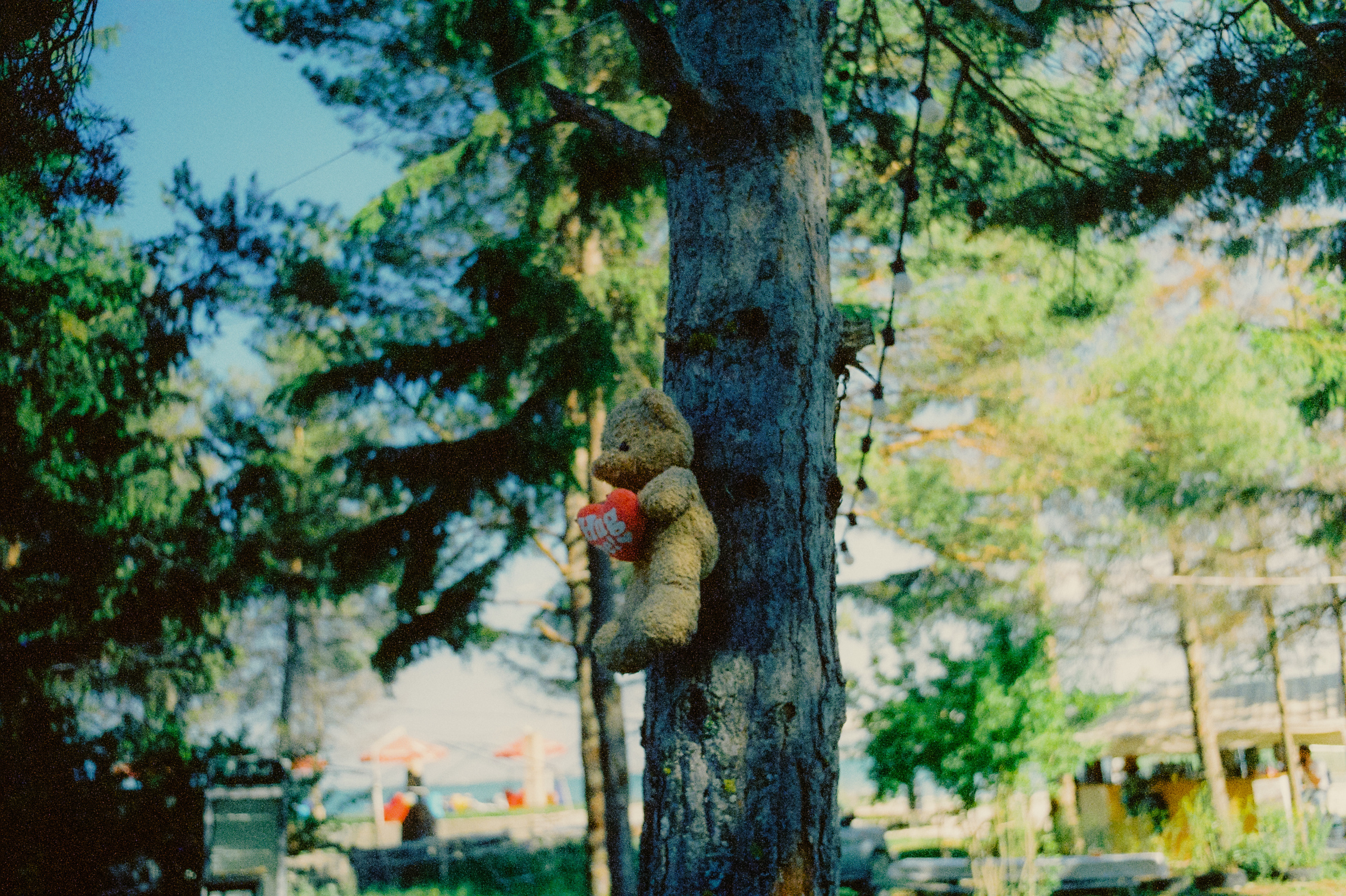 35 mm. Богдан Голубков — фотограф (notbogdang)