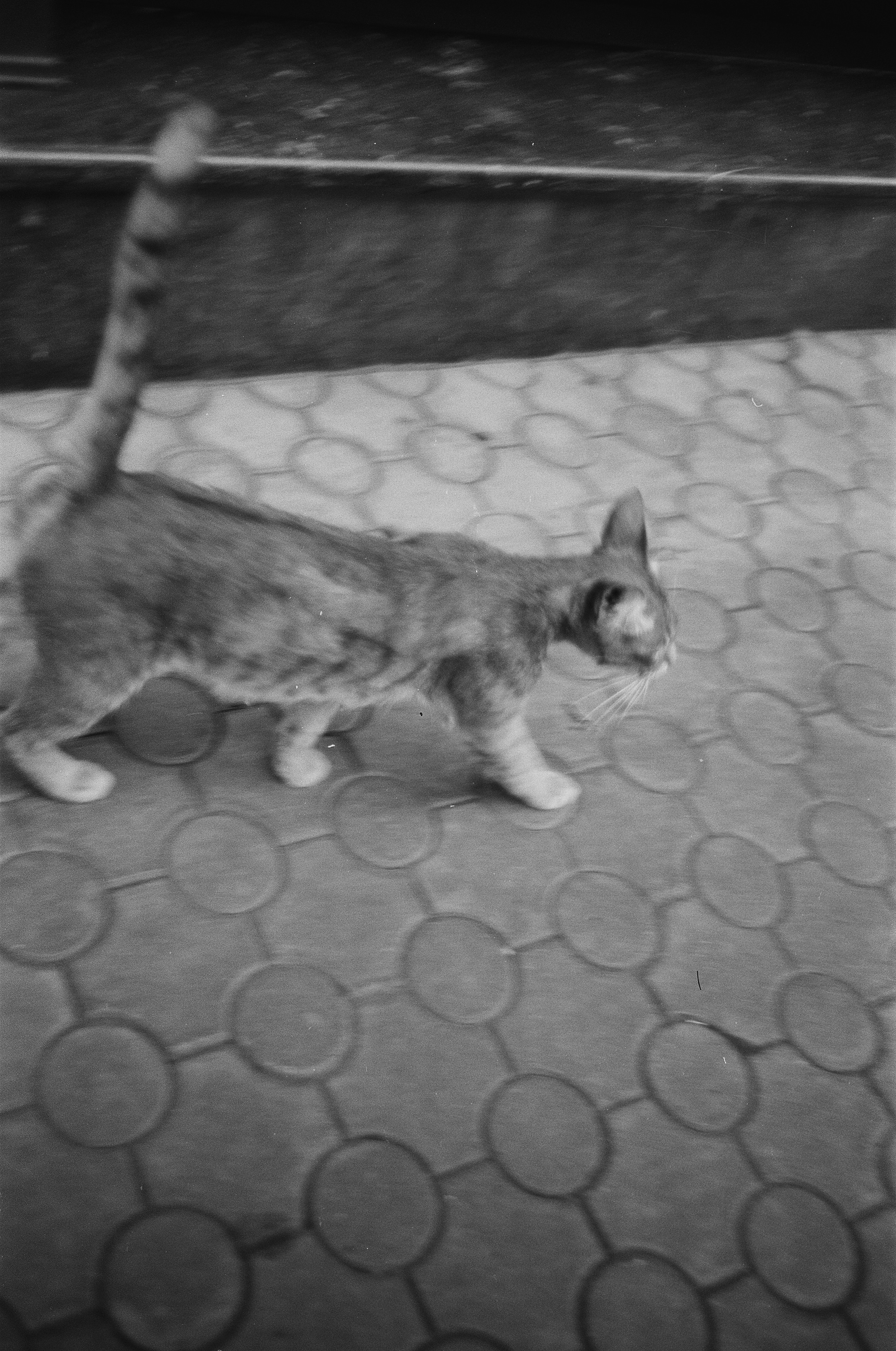 35 mm. Богдан Голубков — фотограф (notbogdang)