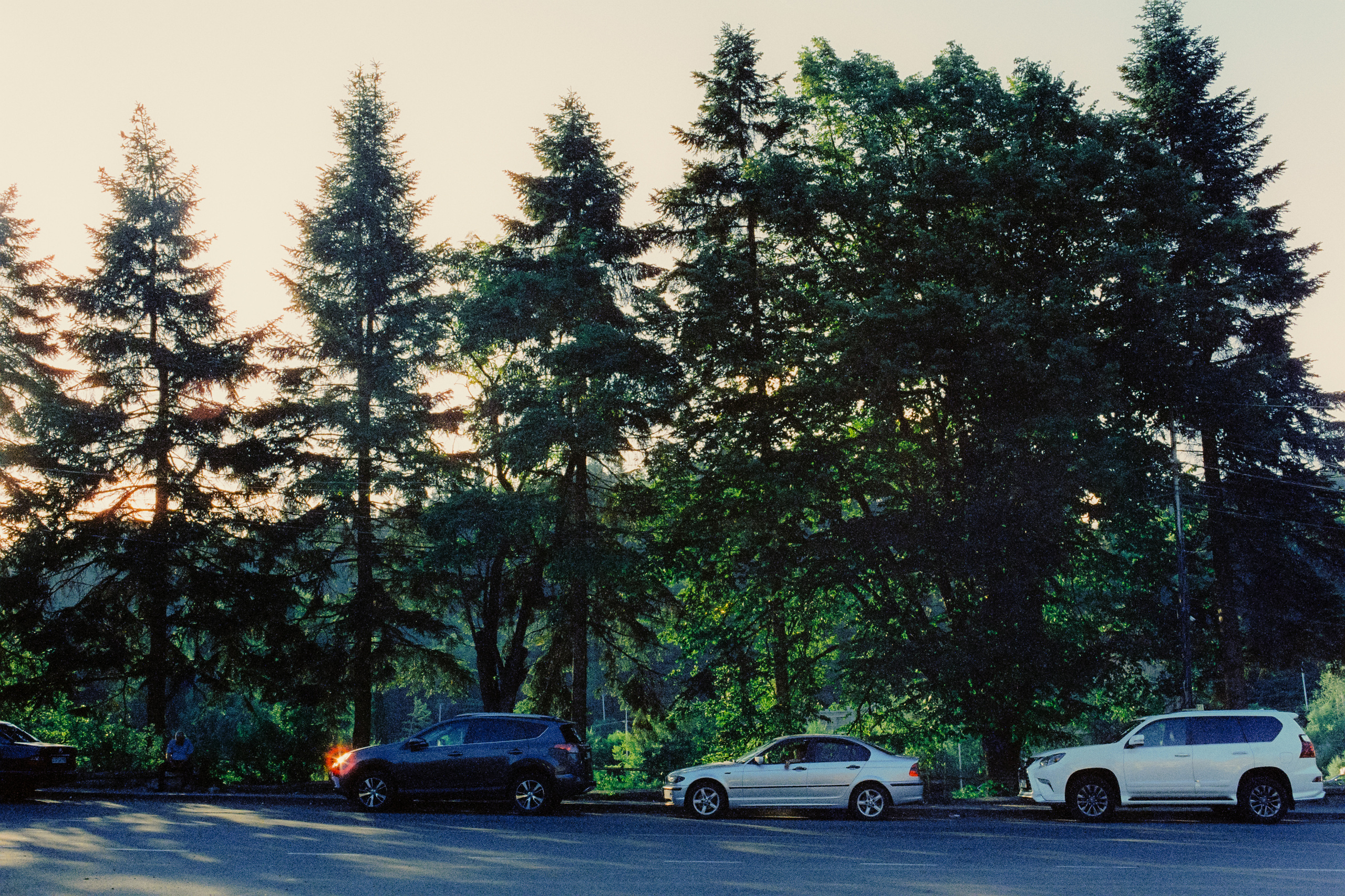 35 mm. Богдан Голубков — фотограф (notbogdang)