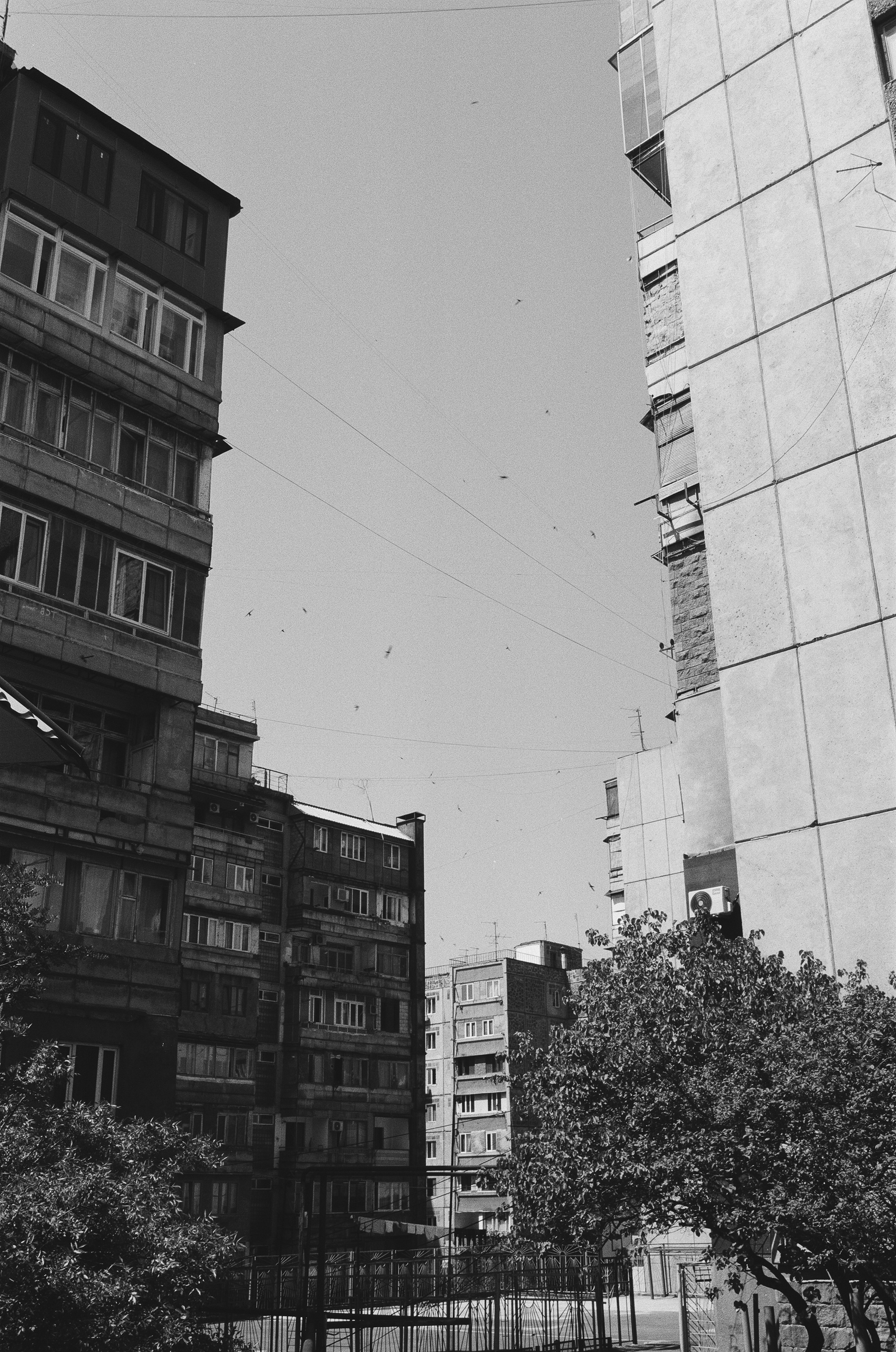 35 mm. Богдан Голубков — фотограф (notbogdang)