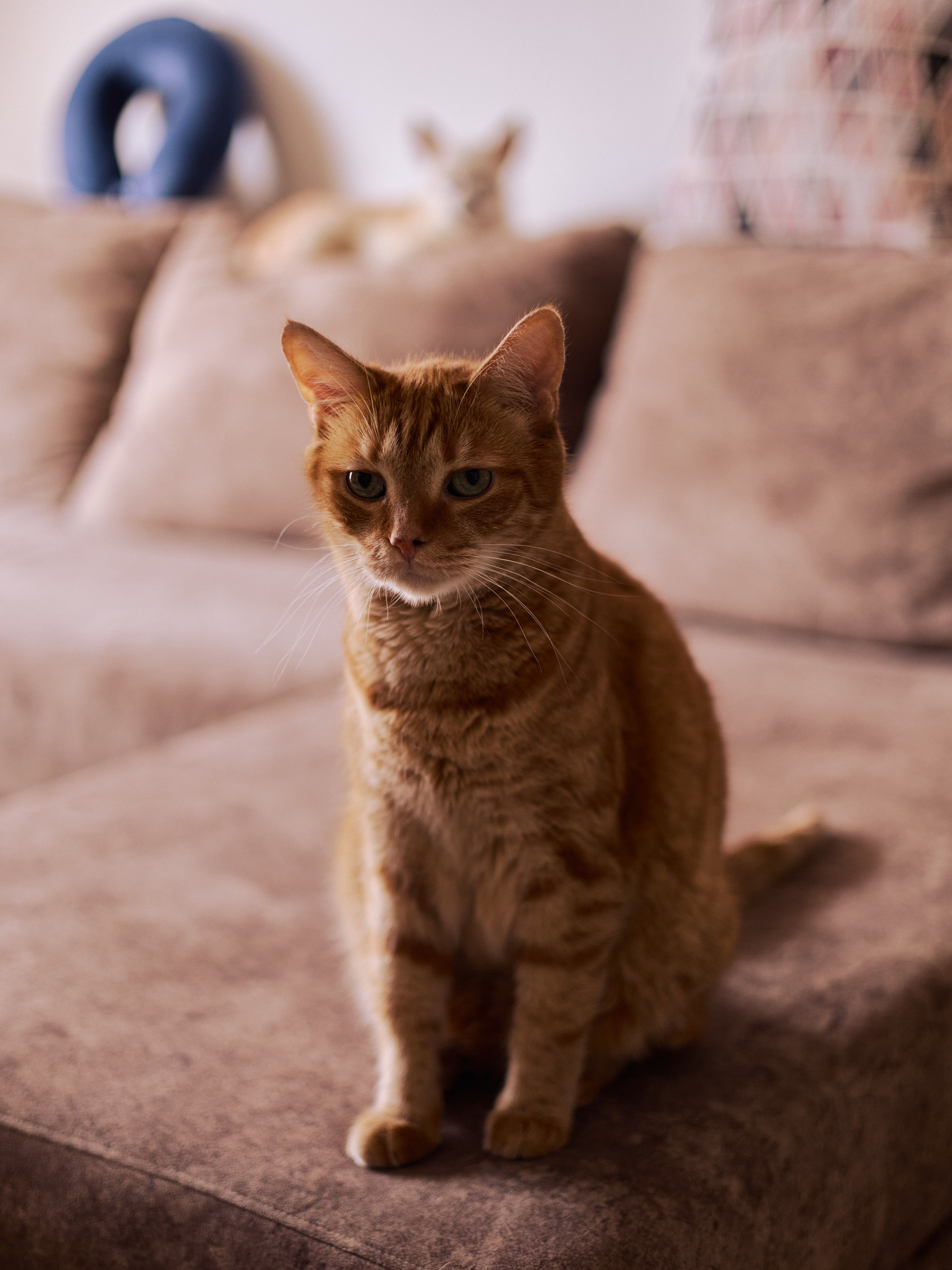 Другое 3. Jorgis Talè — photographer, kind person, teacher of arts and other mag