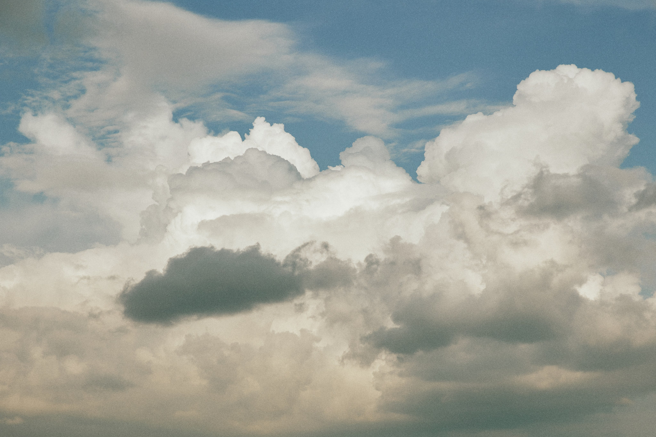 AMORE DA CINEMA. Дмитрий Мазуркевич: Профессиональный Репортажный Фотограф