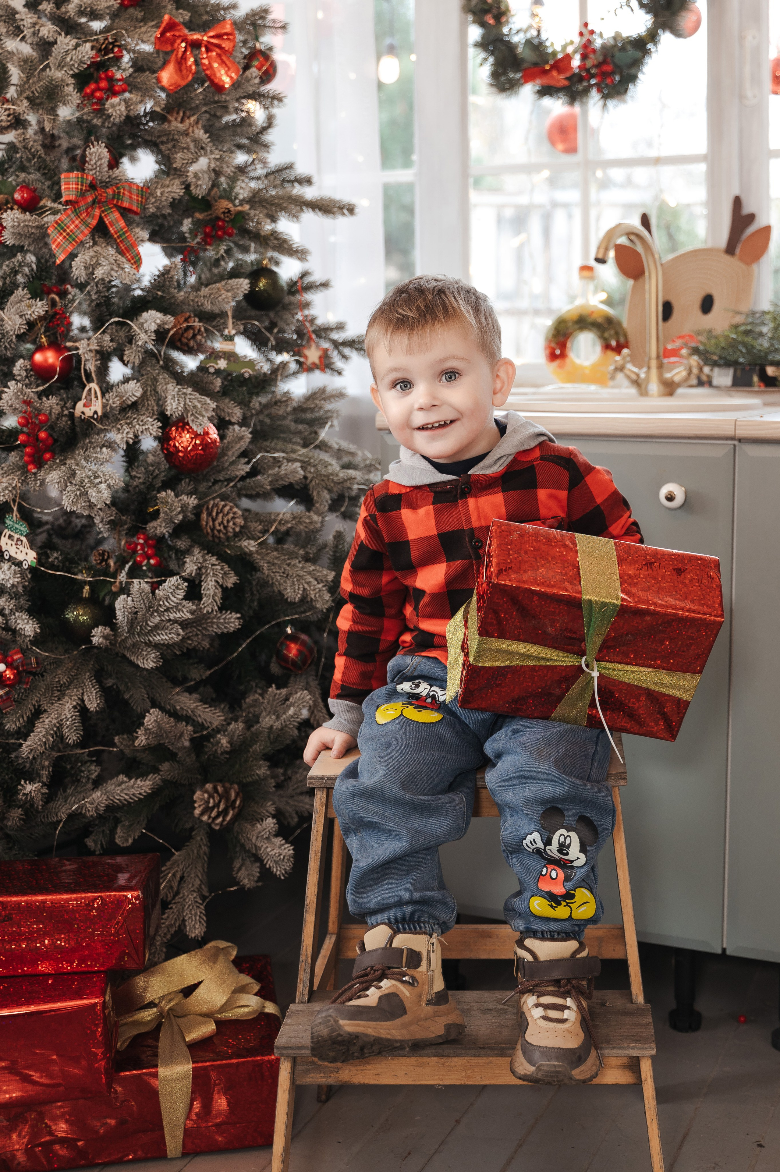 Новый год. Фотограф Дарья Борисова в г. Новочеркасск и РО