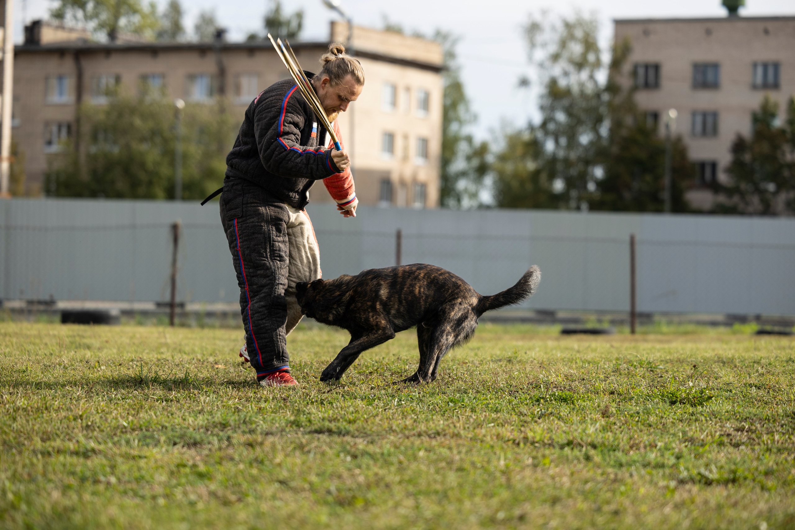 Испытания по Мондьорингу г. Пушкин. Фотограф-анималист Анна Маринич