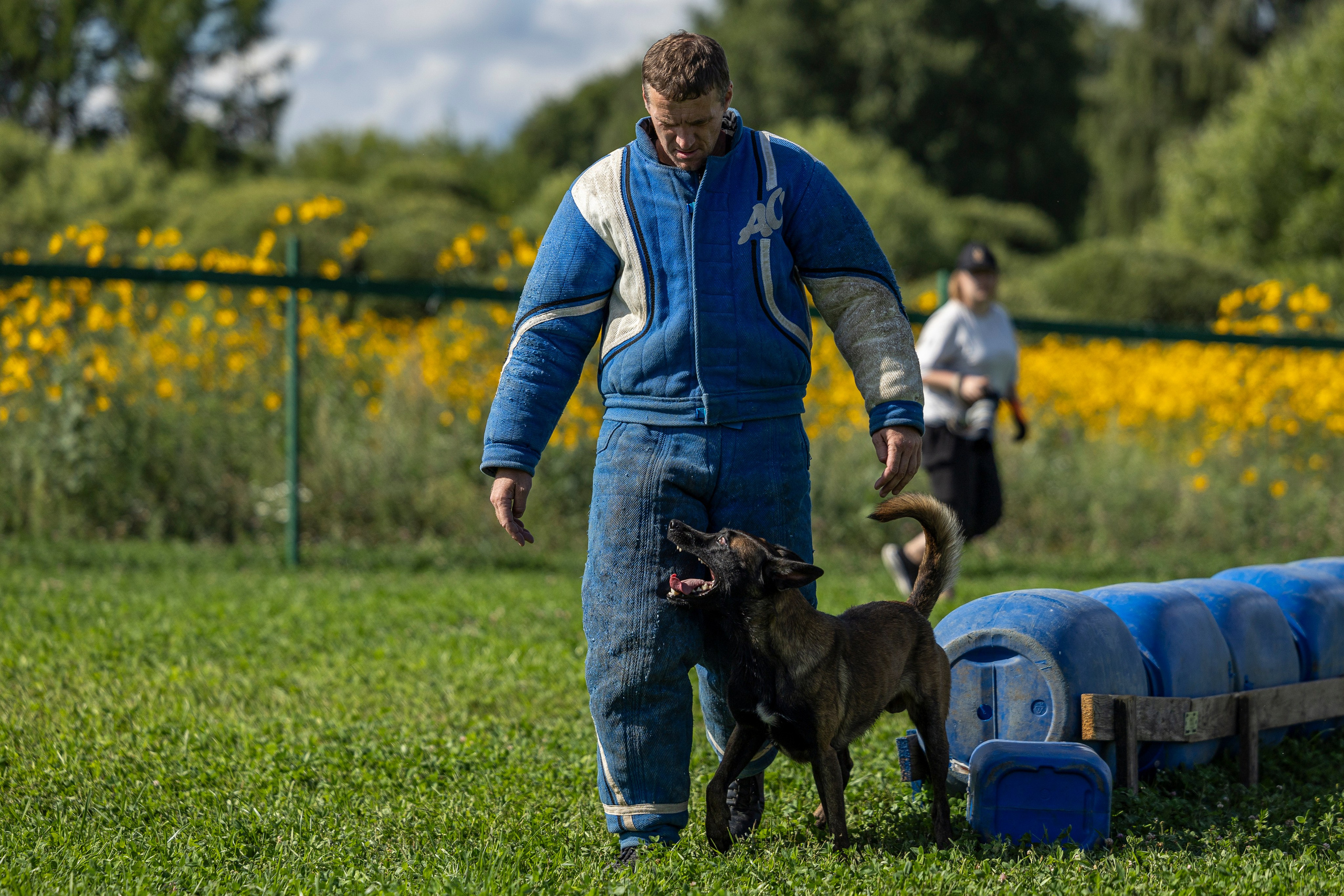 Соревнования по Мондьорингу г. Вологда 10-11.08.2024. Фотограф-анималист Анна Маринич