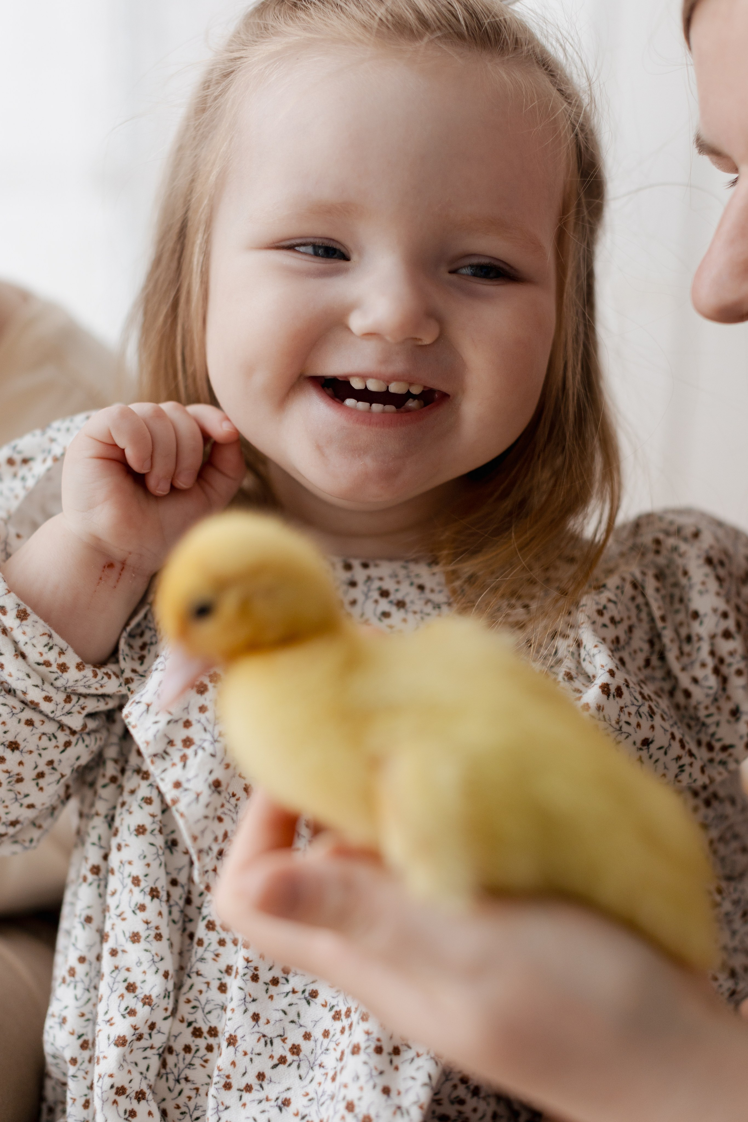 Пасхальные. @dariazphotodays