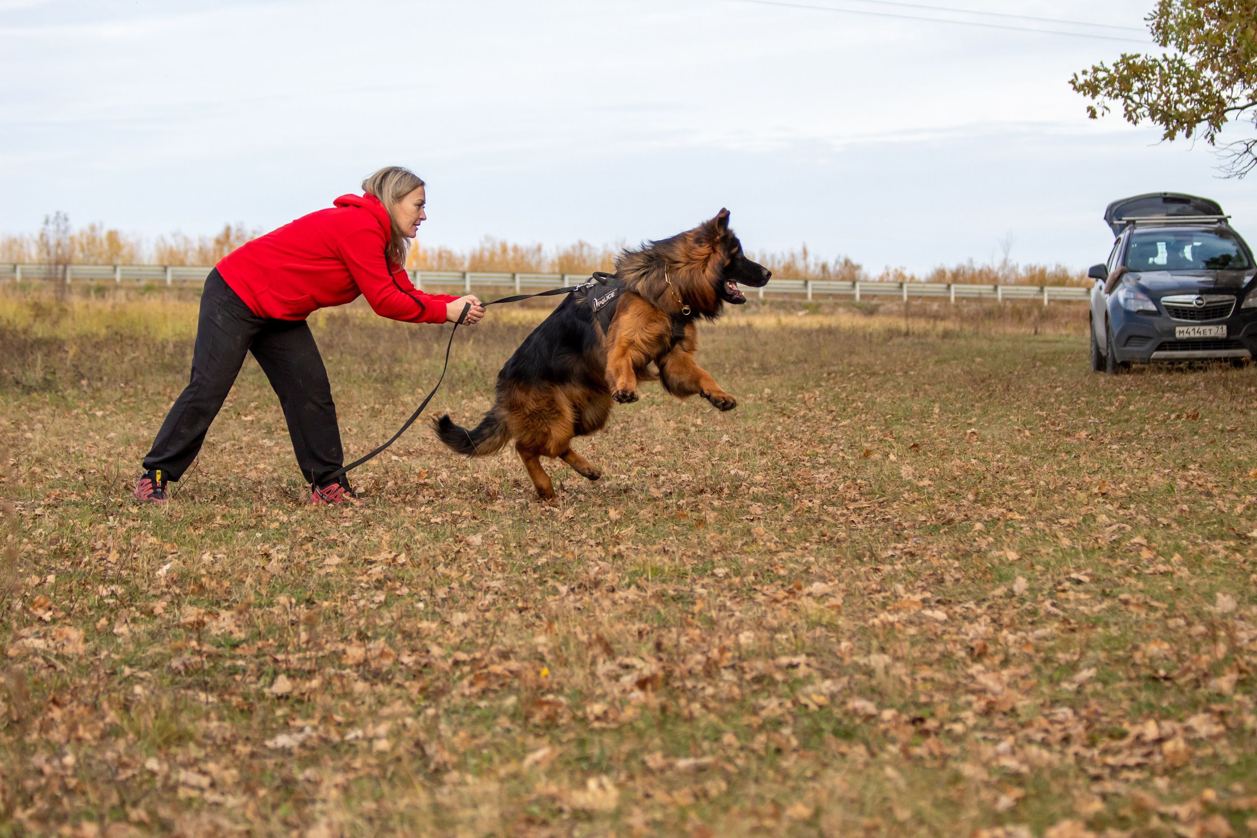 Тренинг защитного раздела. Фотограф анималист — Тула, Москва