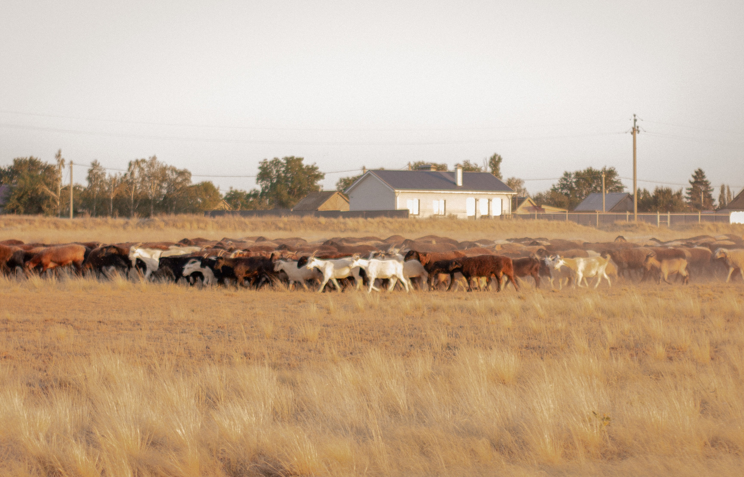 Мария. Женский и семейный фотограф в Волгограде