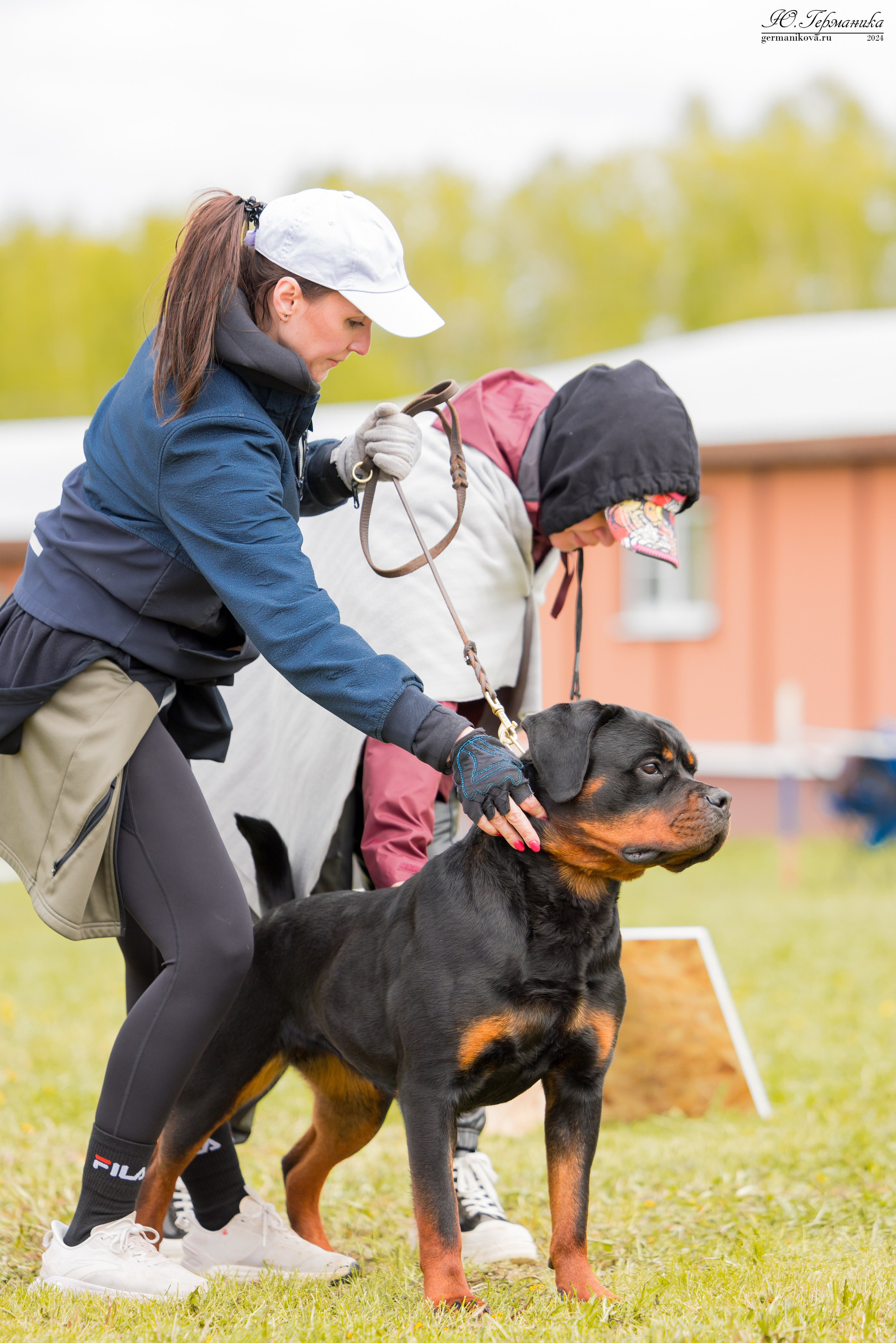 Нижний Новгород 11-12.05.2024 моно ротвейлеров. Фотограф-анималист Юлия Германика