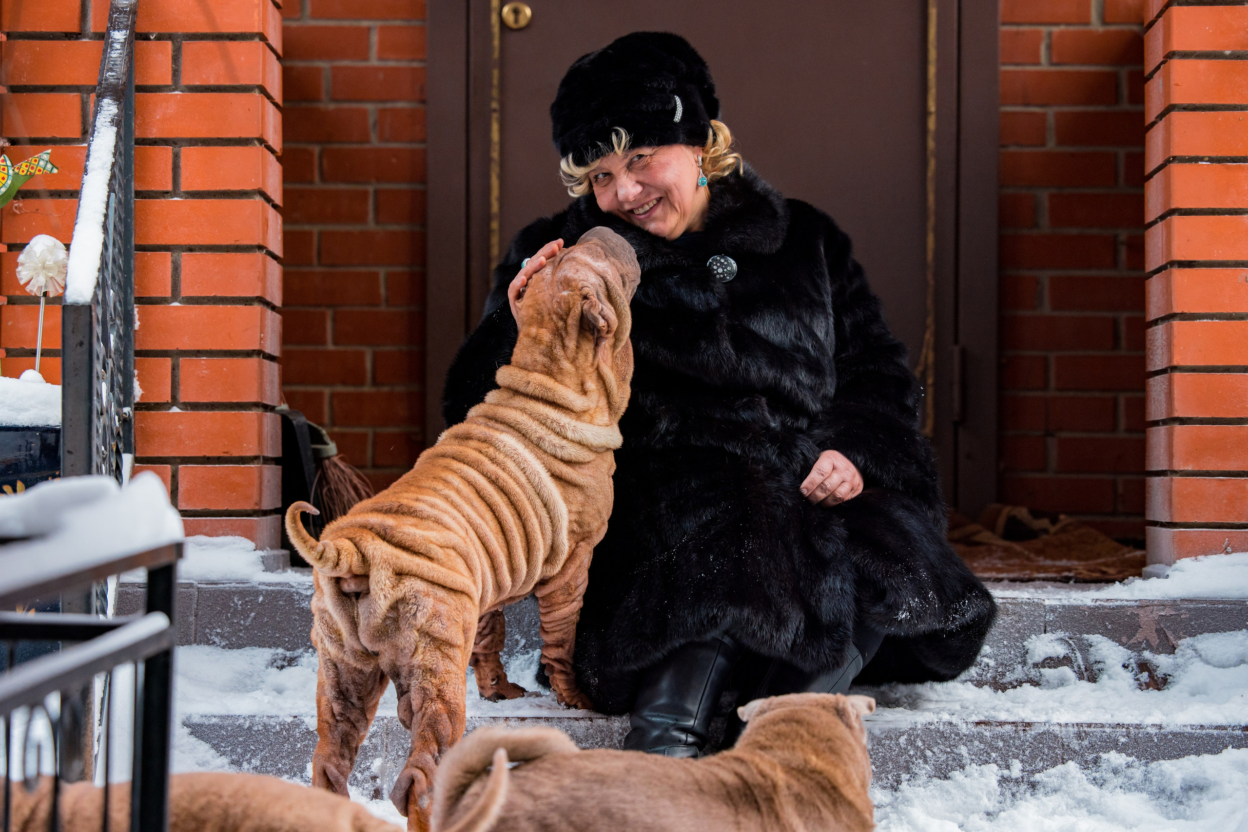 В гостях у шарпеев 16.01.2024. Фотограф-анималист Юлия Германика