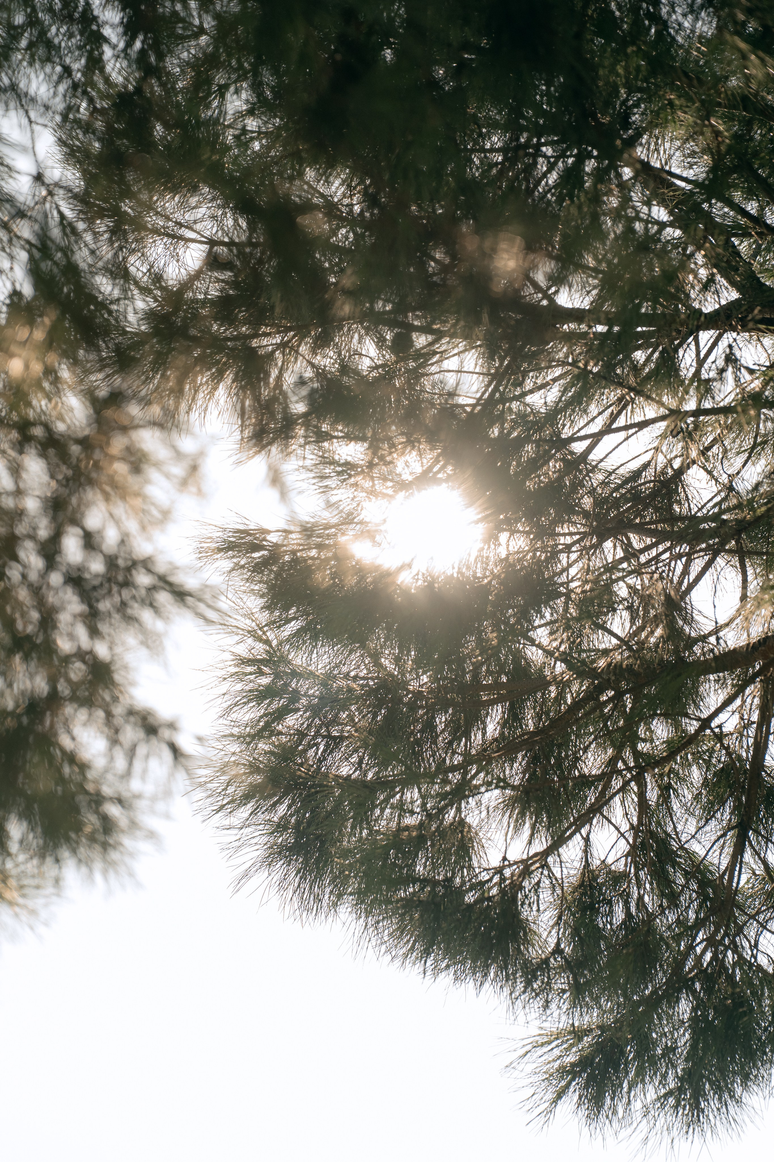 Sunshine in Izmir. Wedding & Documentary Photographer based in Nuremberg — available across Europe & Turkey | Vitalii Nasonov