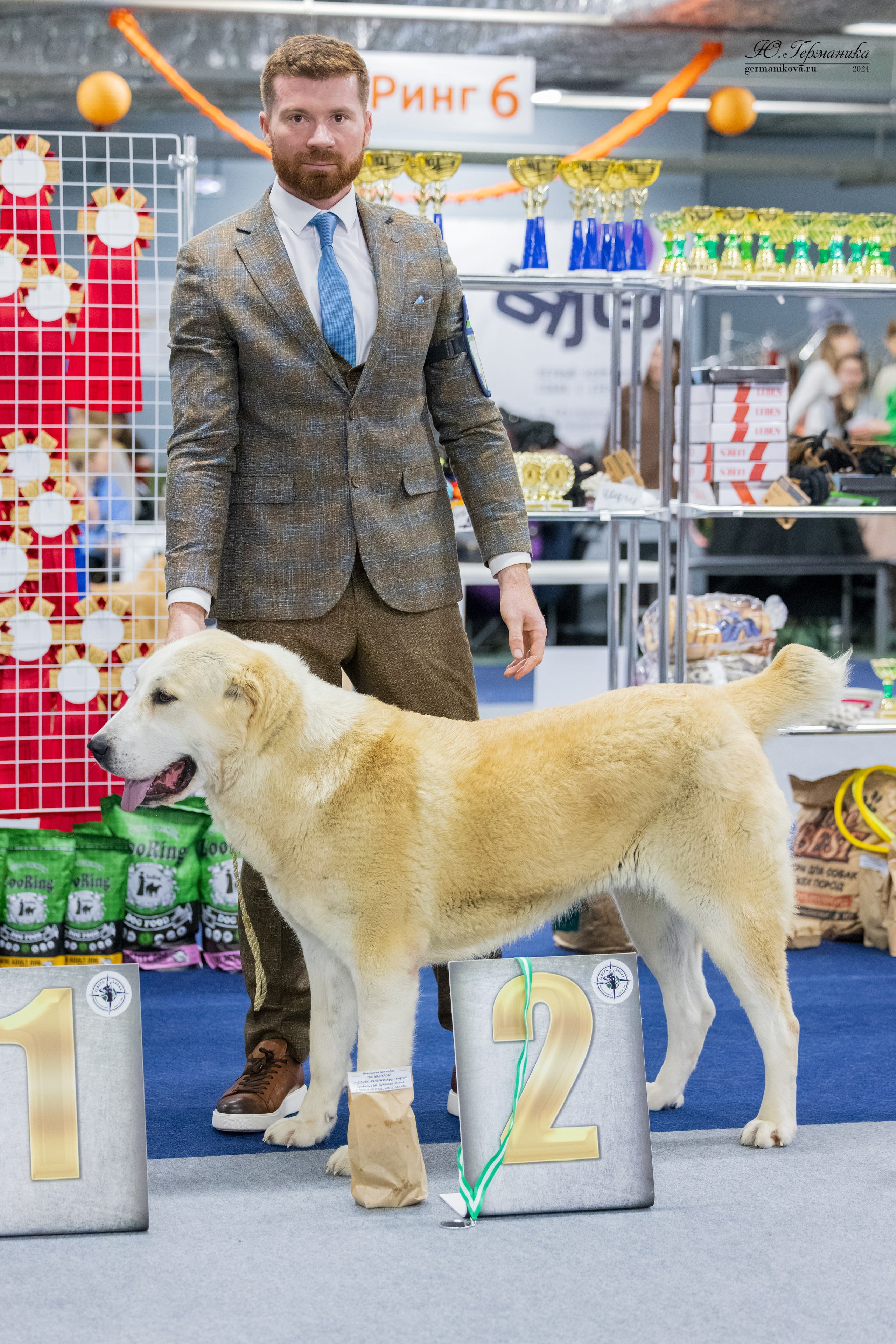 Сфера 08 и 10.03.2024 2хмоно ротвейлеров+2хмоно сао. Фотограф-анималист Юлия Германика