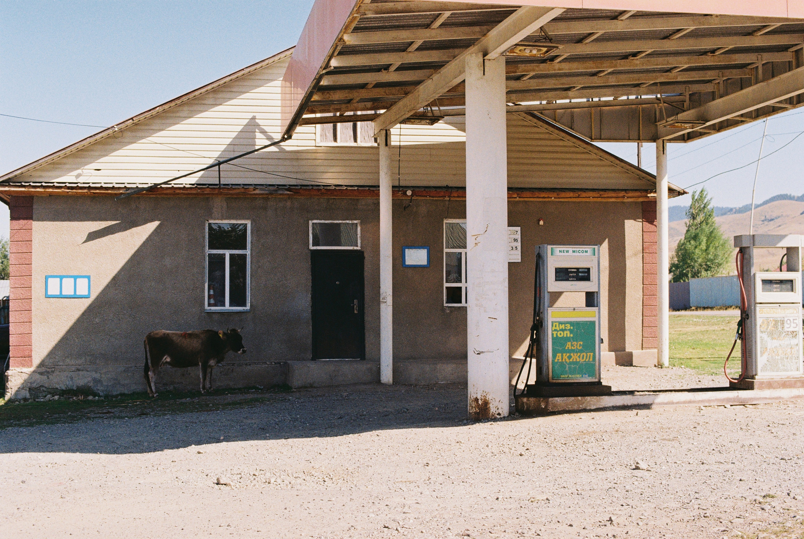 2025 — Путешествия на плёнку. Фотограф в Алматы — Алексей Коньков | Репортаж, свадьбы, портреты