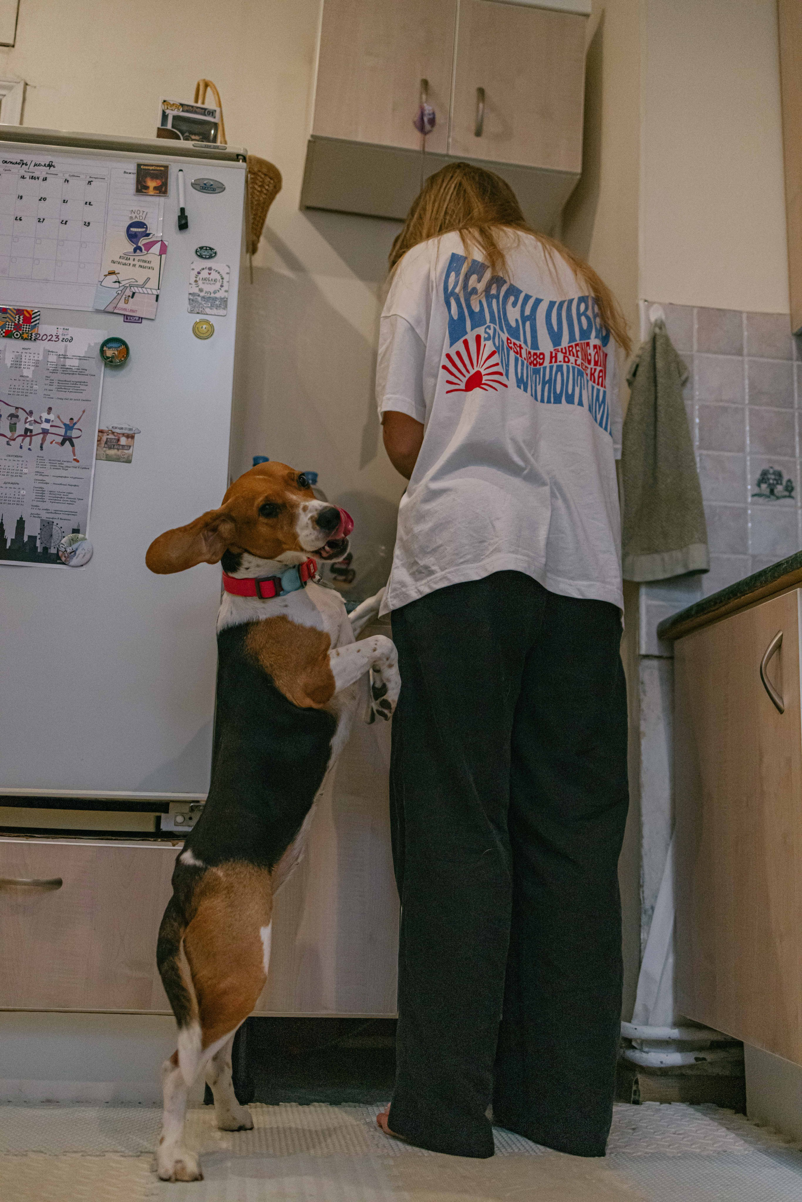 Света и Ива. Фотограф-анималист в Москве Лера Черноног