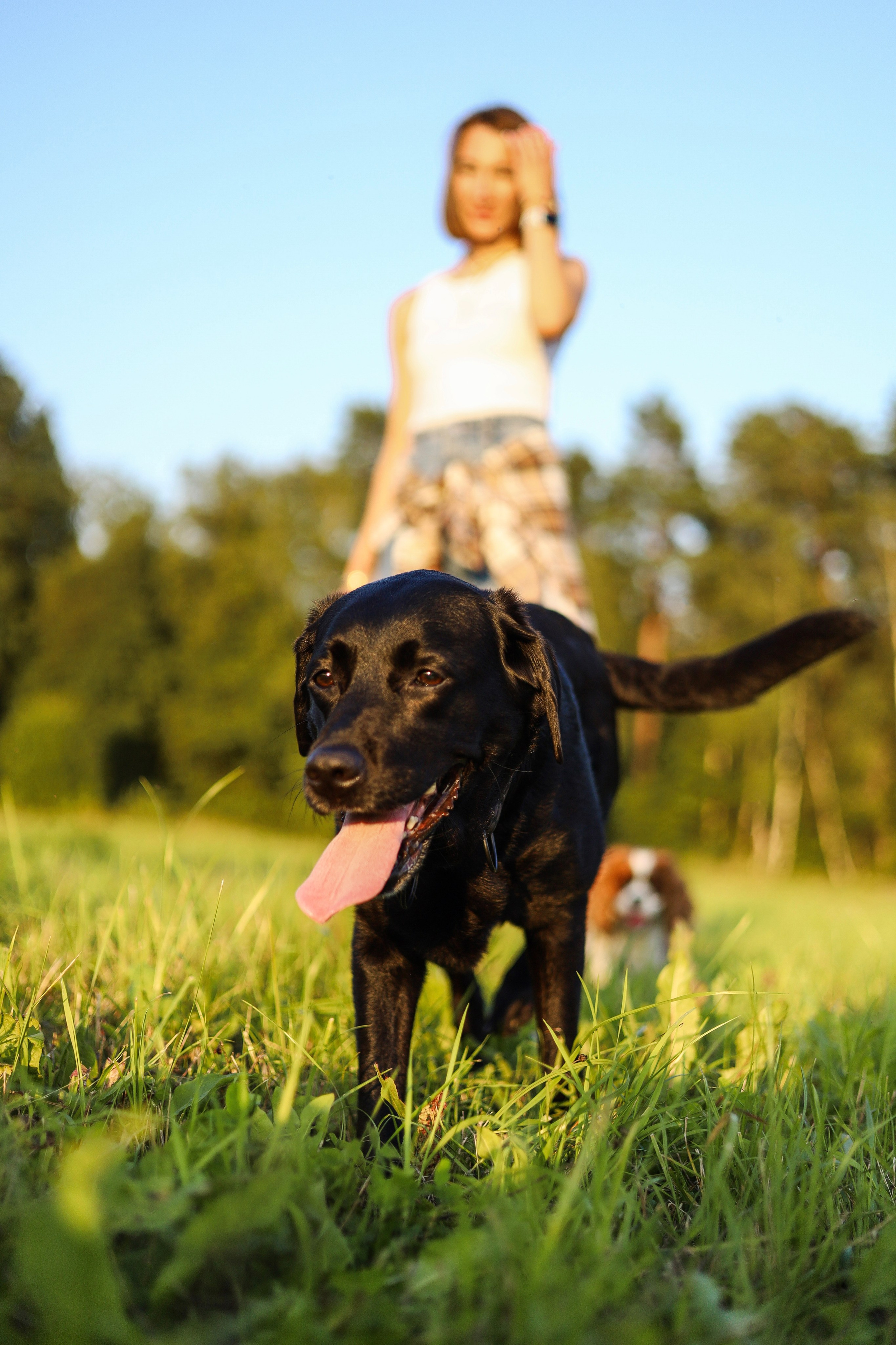 Бонни, Лея и Лера. Фотограф-анималист Ксения Шевцова|Москва