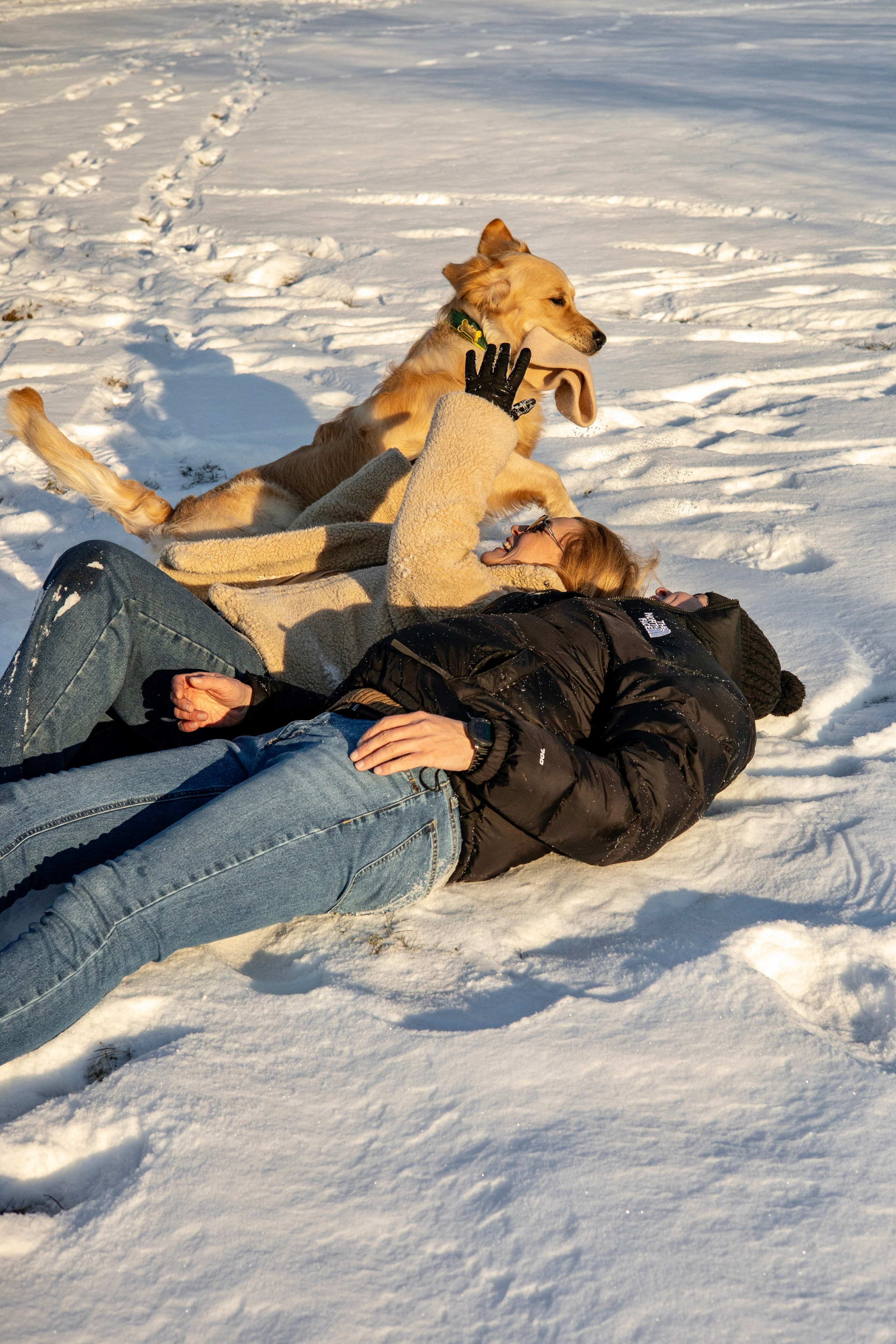 Ларри и его семья. Фотограф-анималист Ксения Шевцова|Москва
