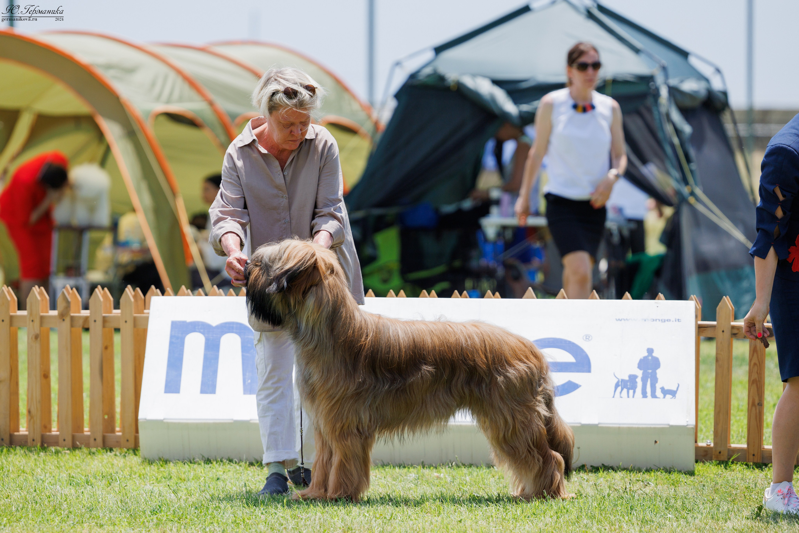 Ереван 3-5.06.2024. Фотограф-анималист Юлия Германика