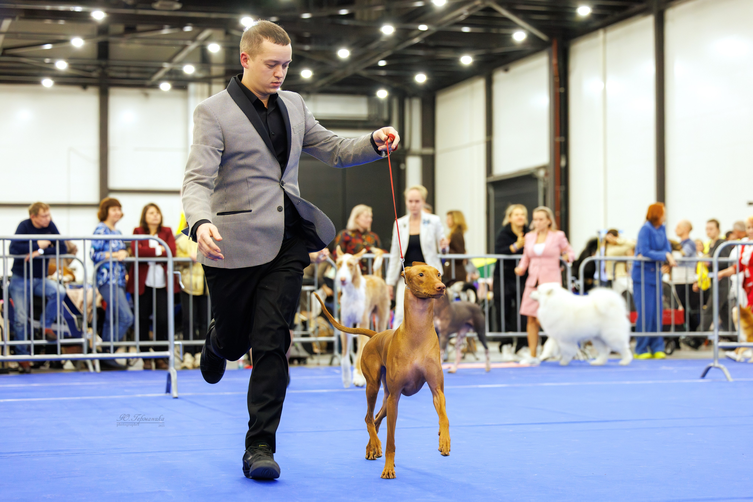 Питер 12-13.12.2025. Фотограф-анималист Юлия Германика