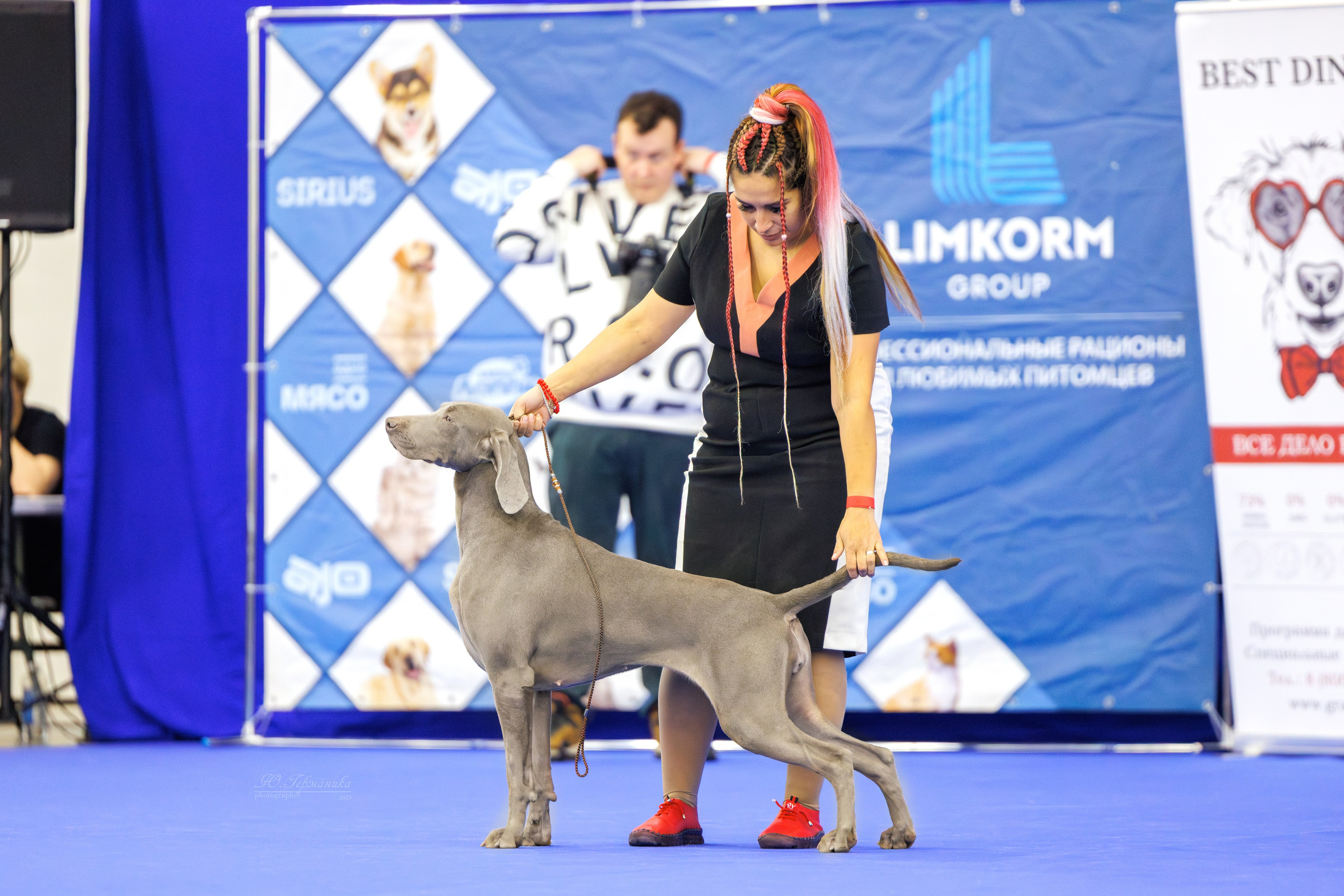 Питер 12-13.12.2025. Фотограф-анималист Юлия Германика