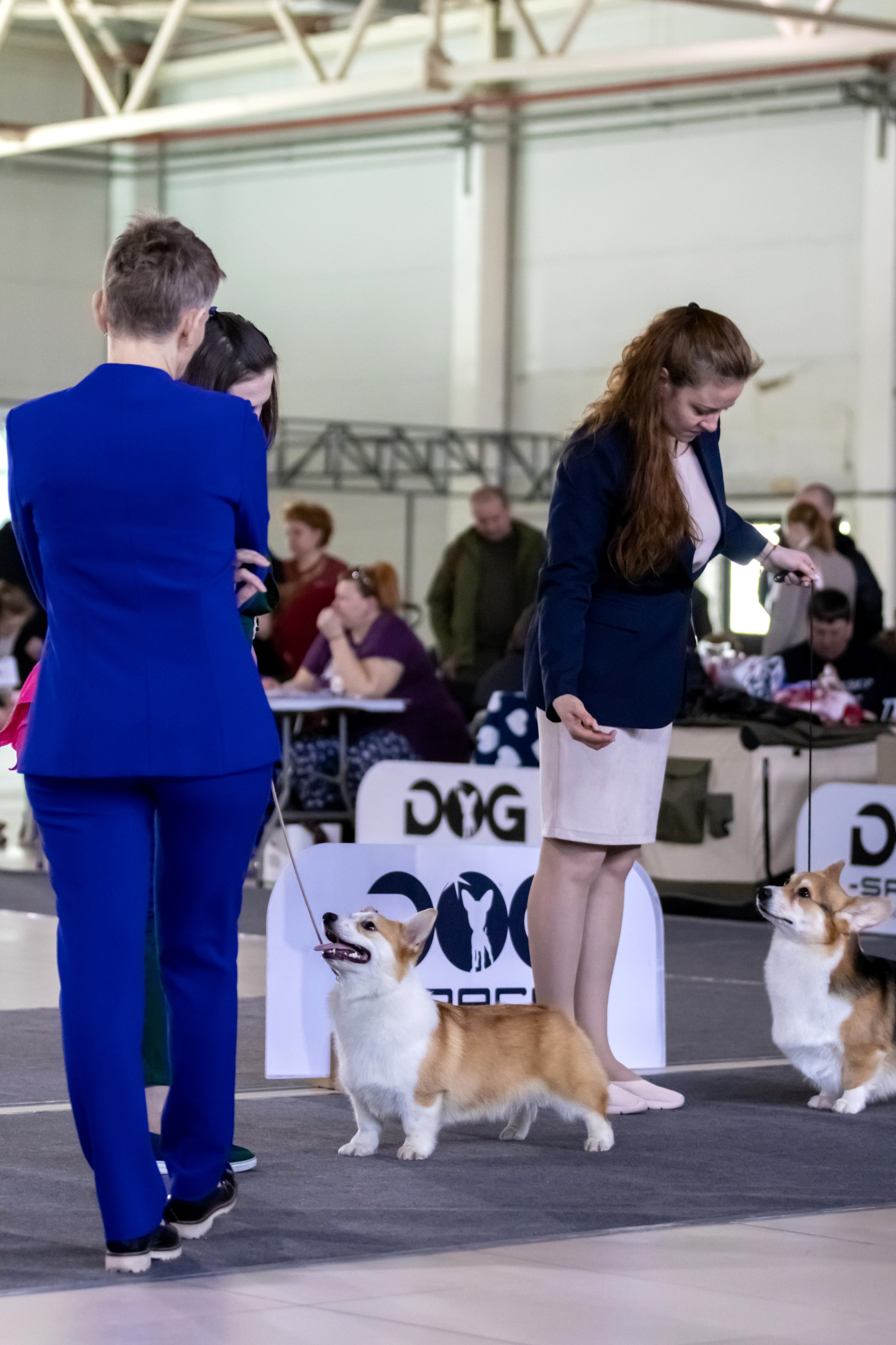 Выставки. Фотограф — анималист в Москве и области Ольга Петракова