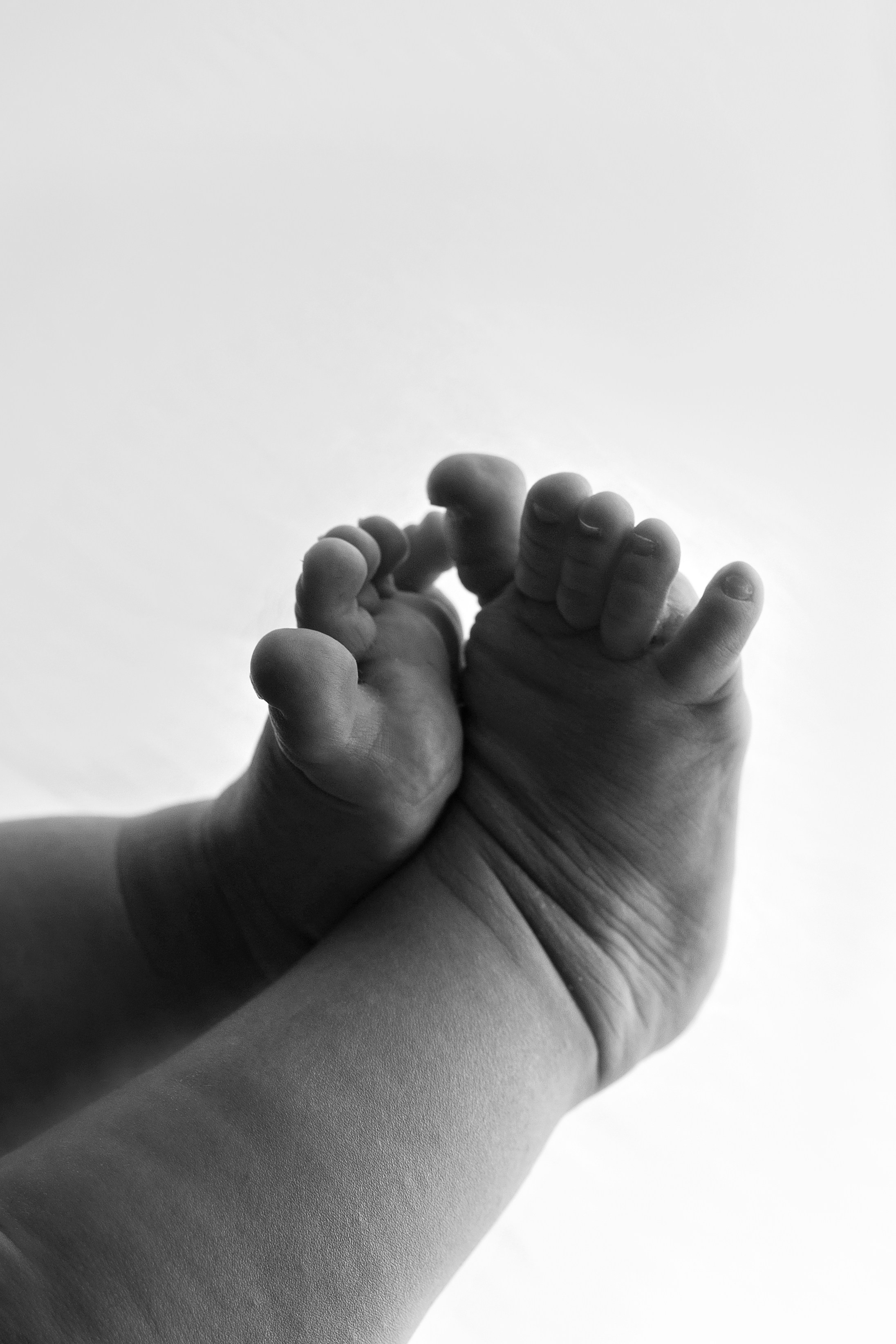 Новорожденные. Фотограф новорожденных и детский фотограф в городе Иваново