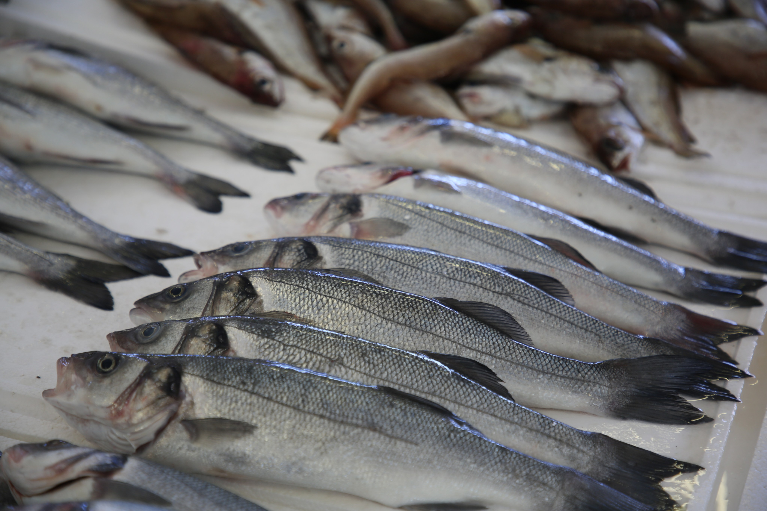 Espihnio, Portugal. Andrey Filippov Photographer