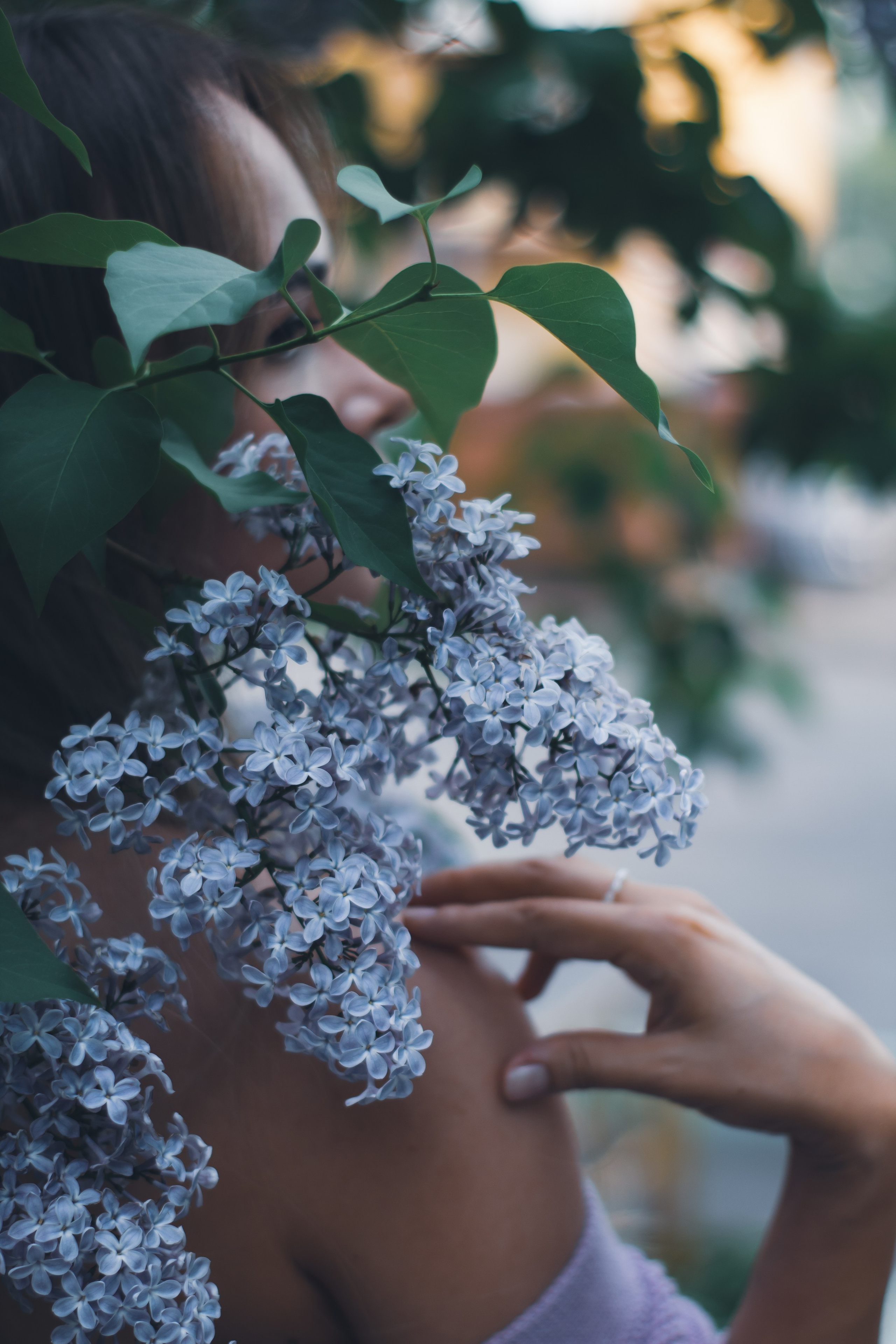 Lilac. Свадебный и семейный фотограф в Красноярске Леонид Максимов