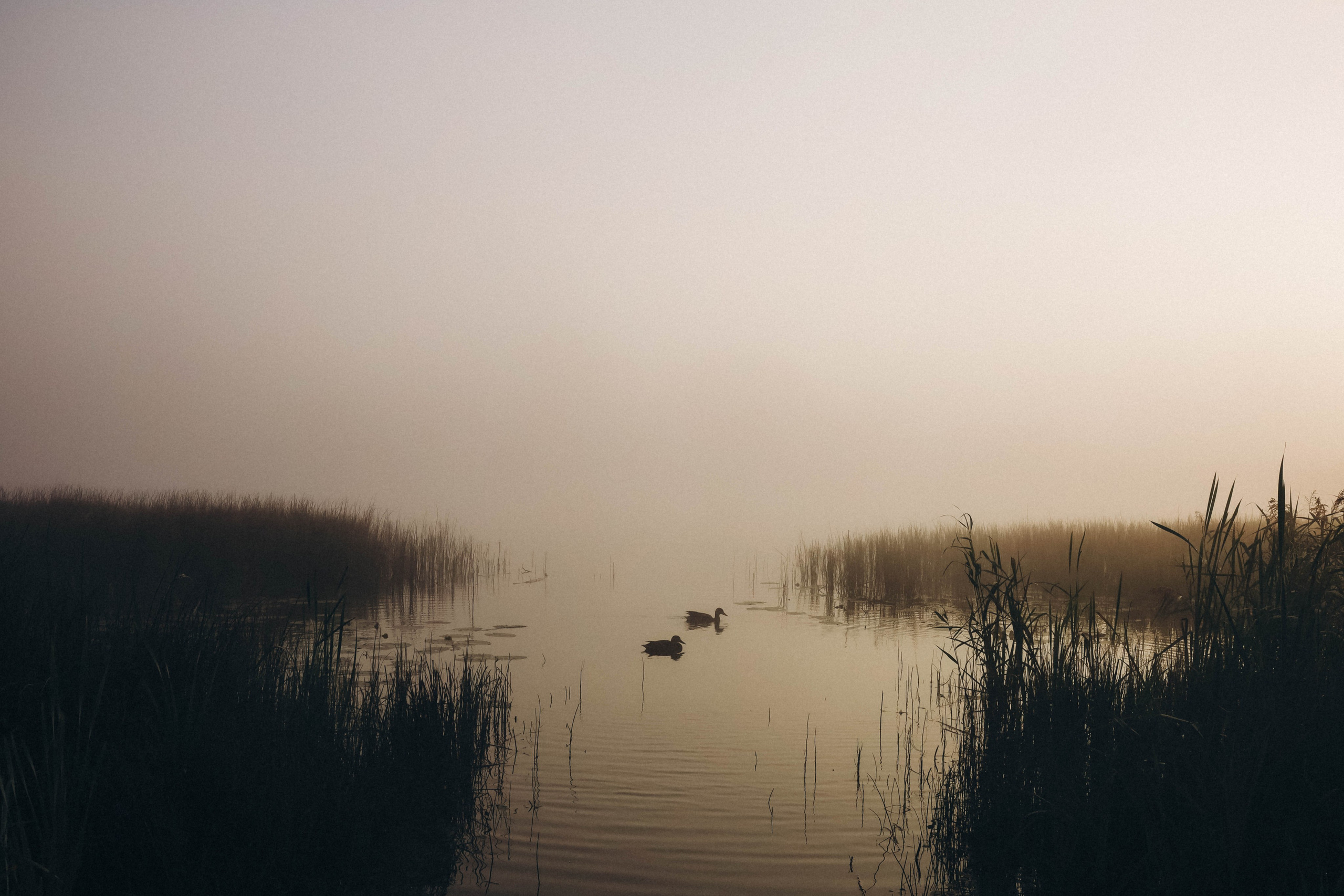 Алина. Фотограф во Владимире Яна Чубич