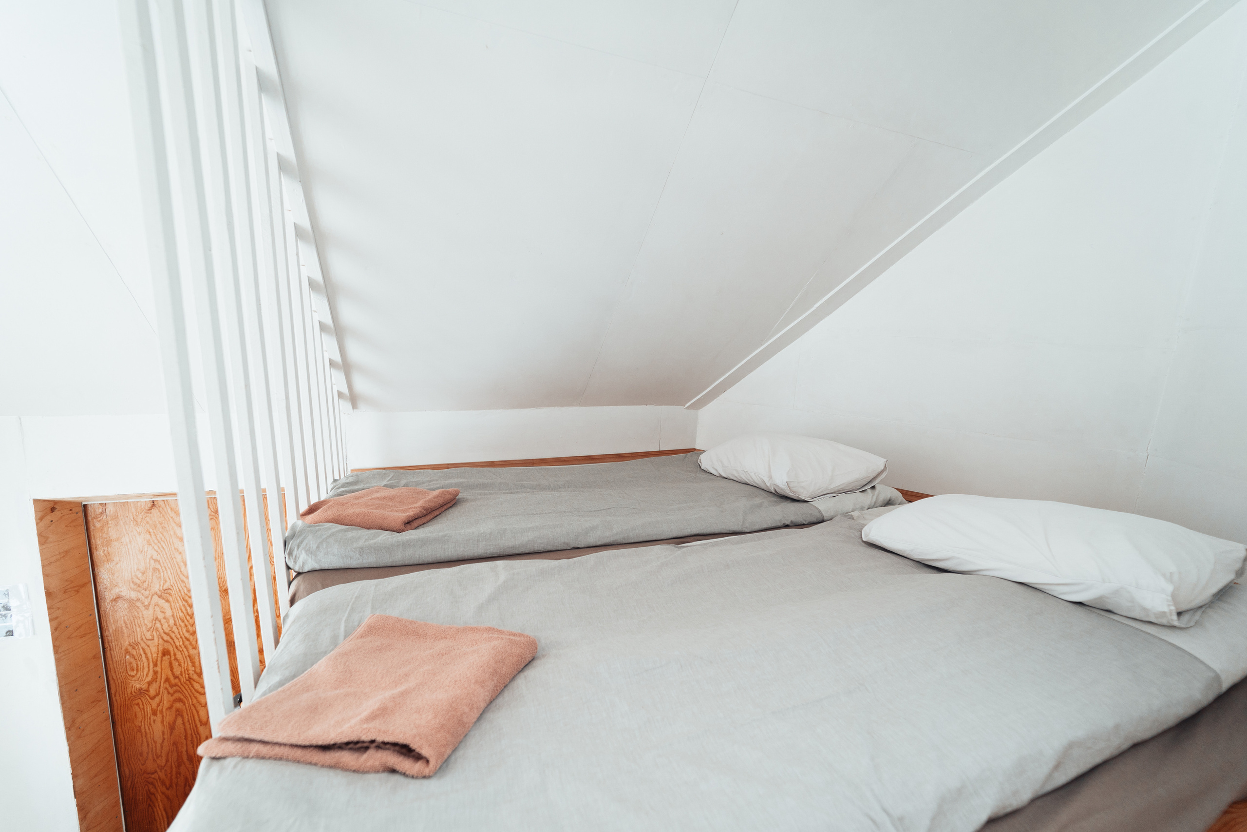 Клевер, Никола — Ленивец. @tomrus: Рустам Шагиморданов — фотограф