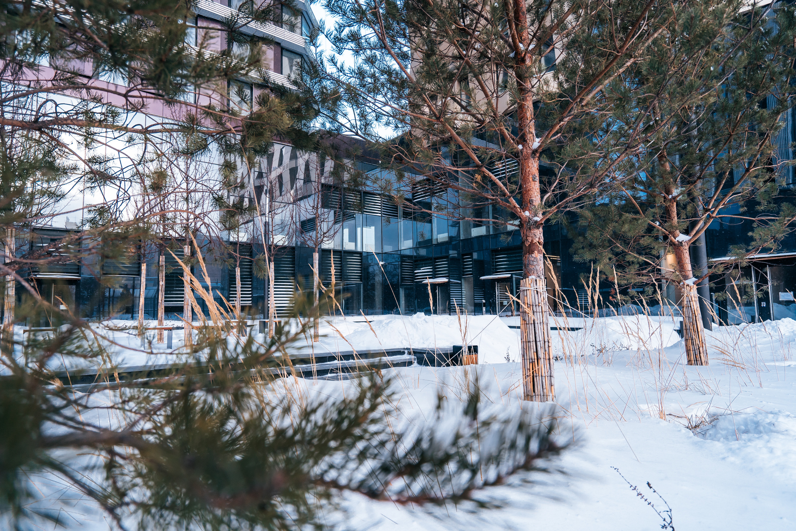 D1, MR Group. @tomrus: Рустам Шагиморданов — фотограф