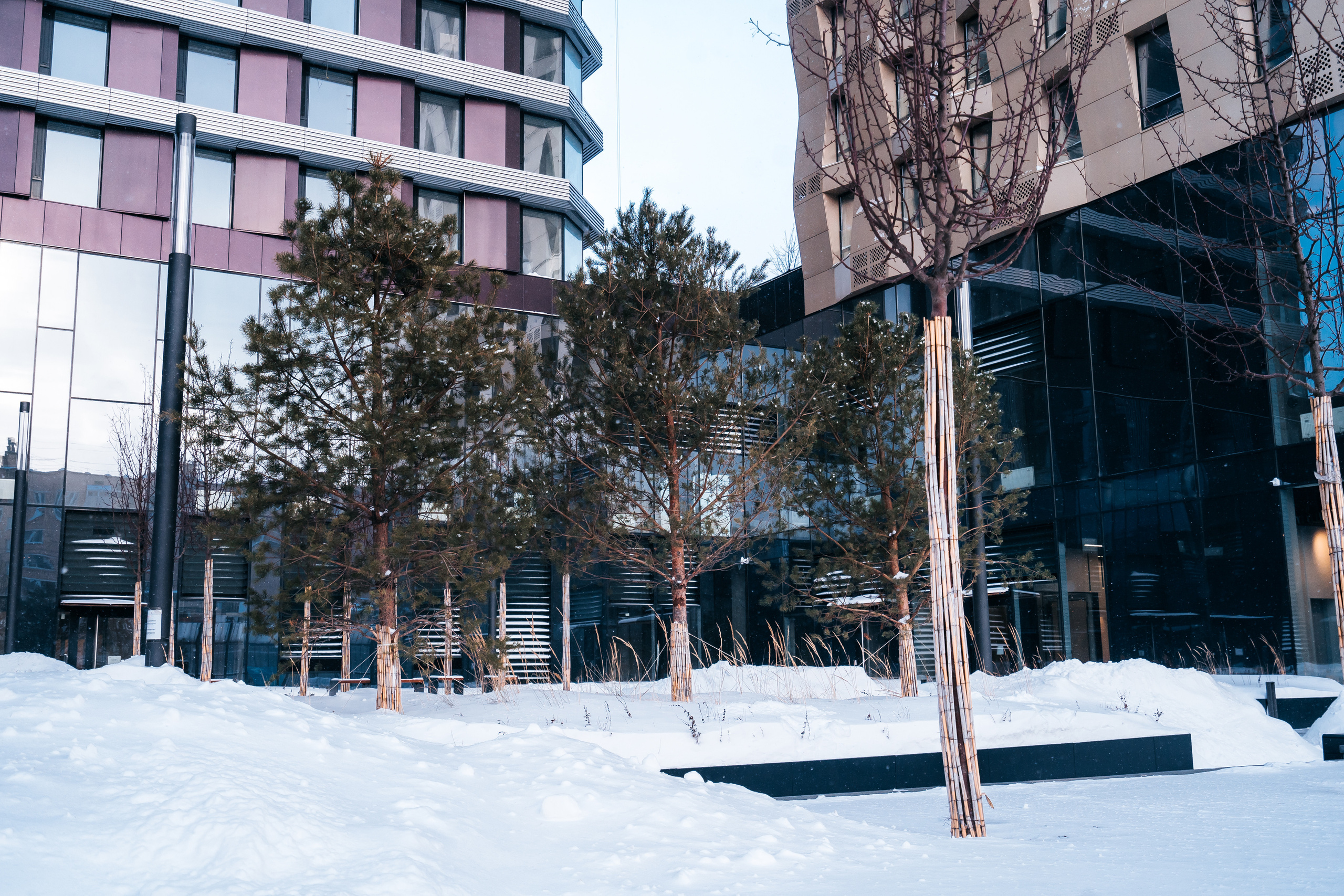 D1, MR Group. @tomrus: Рустам Шагиморданов — фотограф