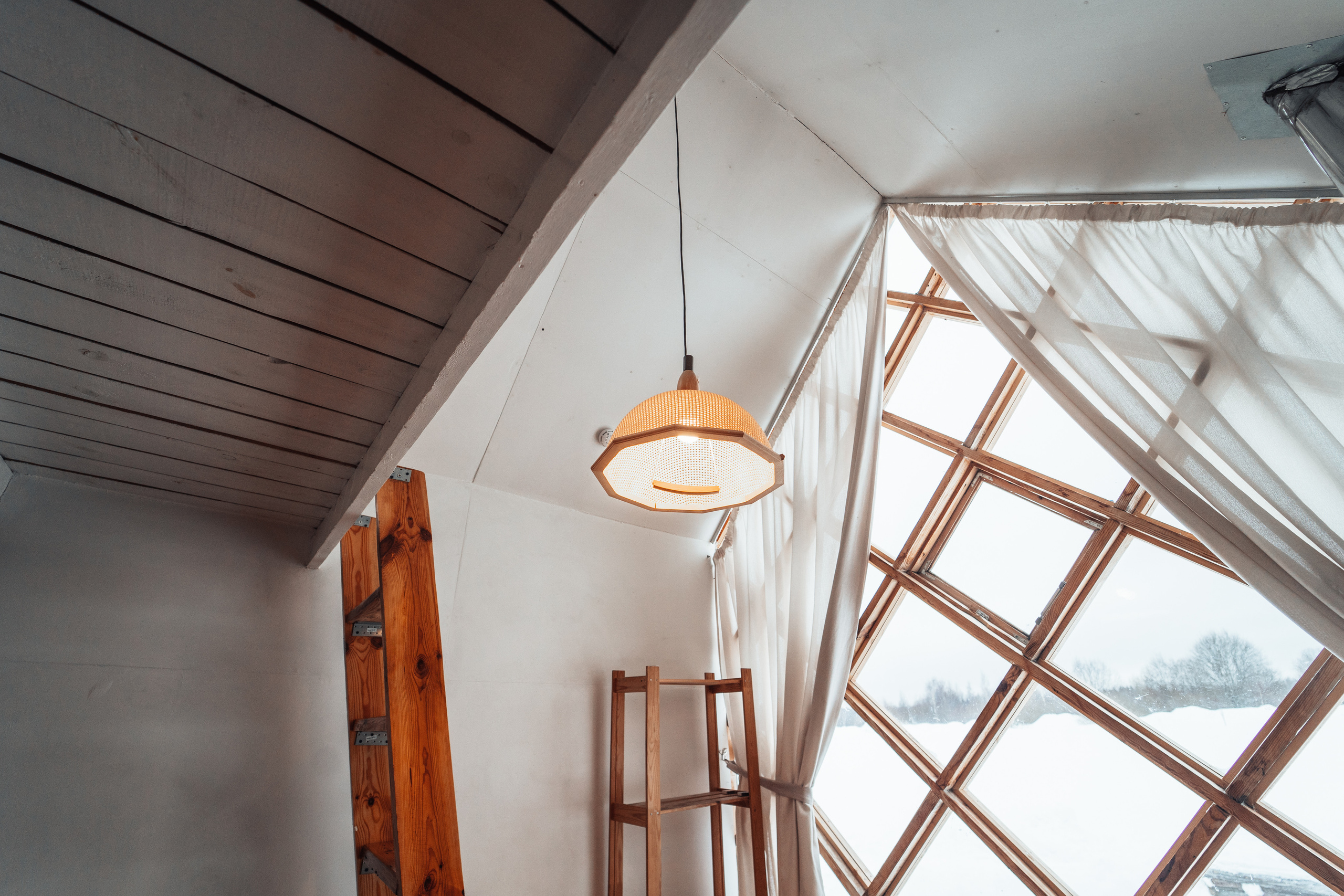 Клевер, Никола — Ленивец. @tomrus: Рустам Шагиморданов — фотограф