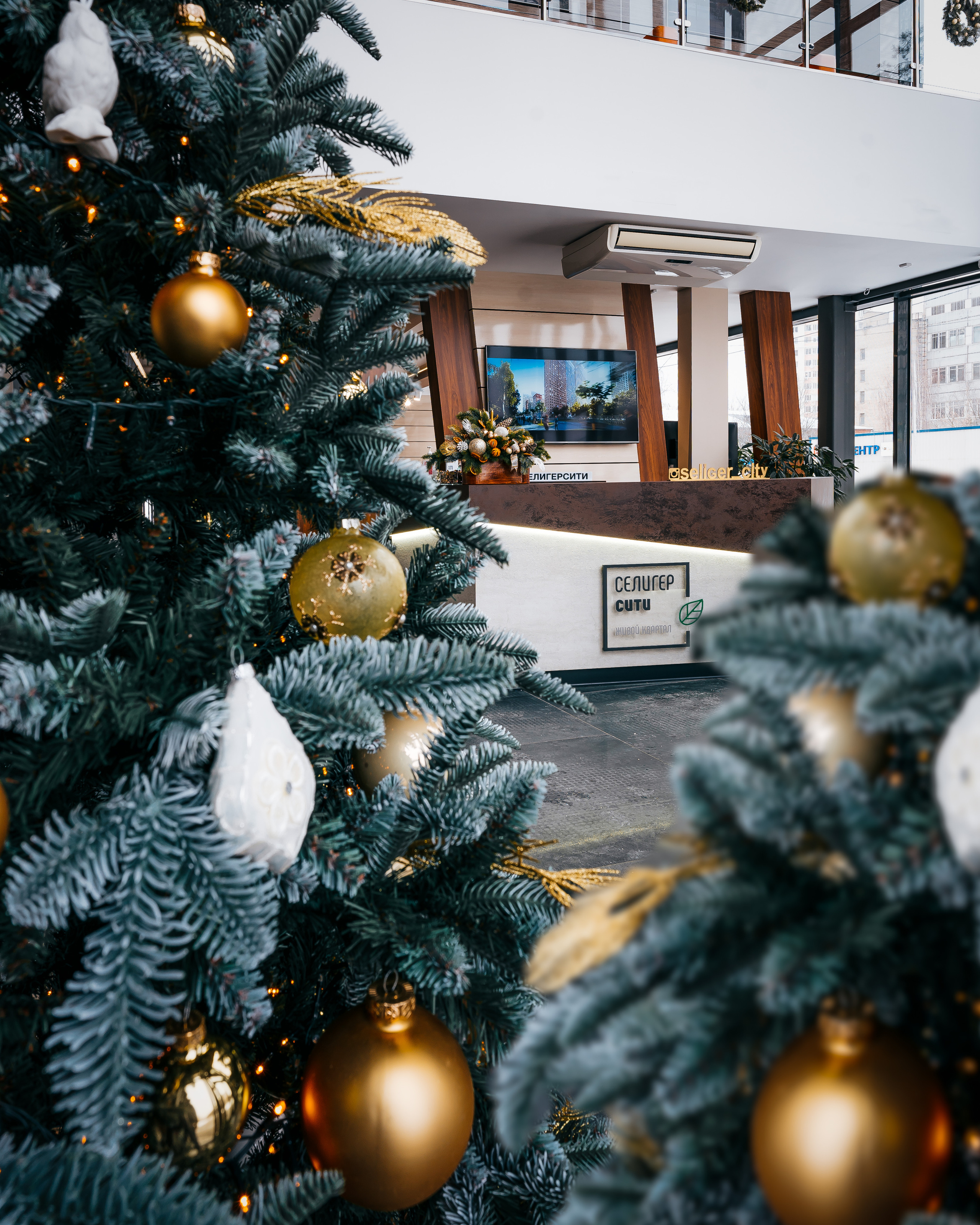 Seliger City, MR Group. @tomrus: Рустам Шагиморданов — фотограф