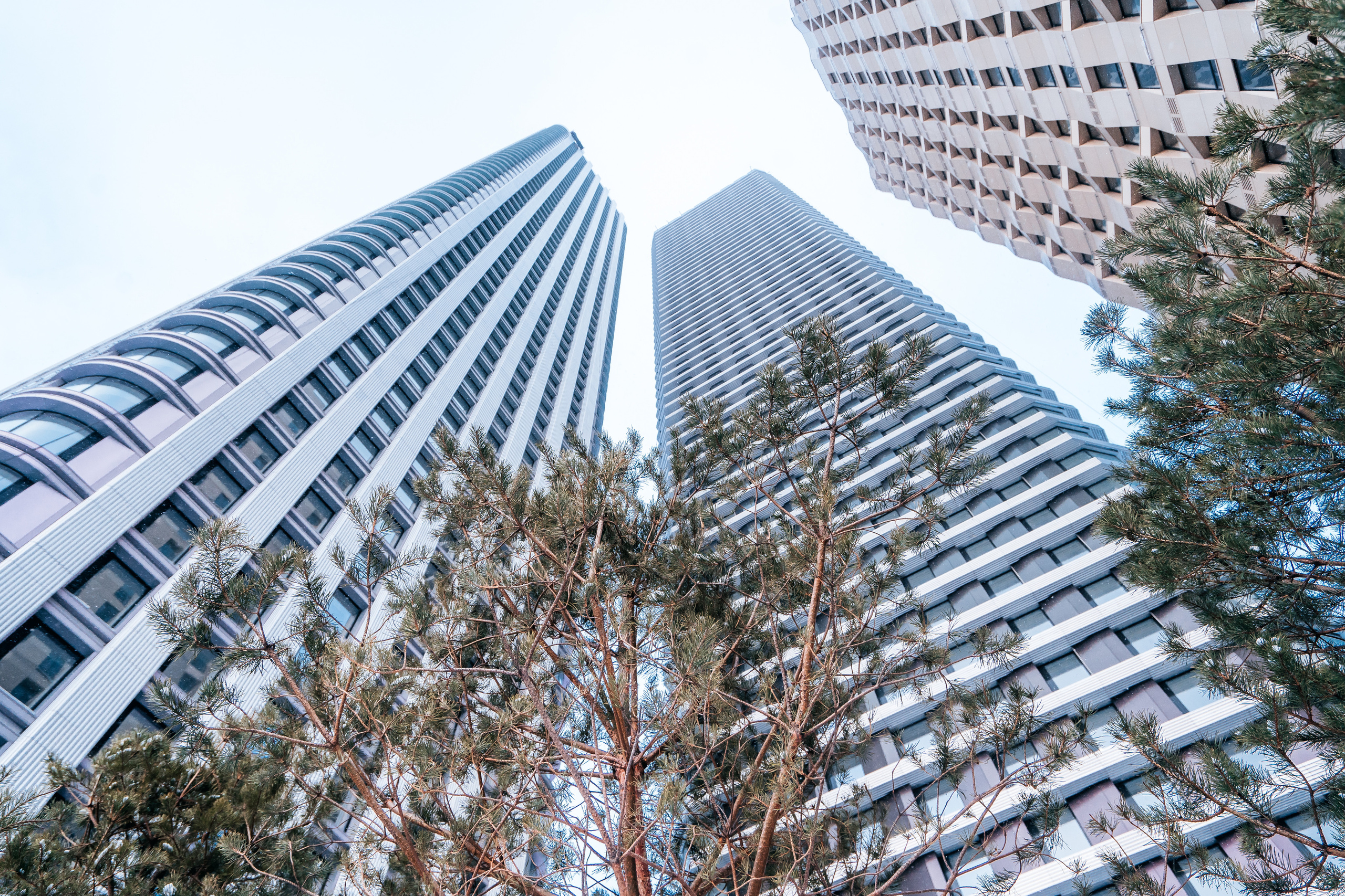 D1, MR Group. @tomrus: Рустам Шагиморданов — фотограф