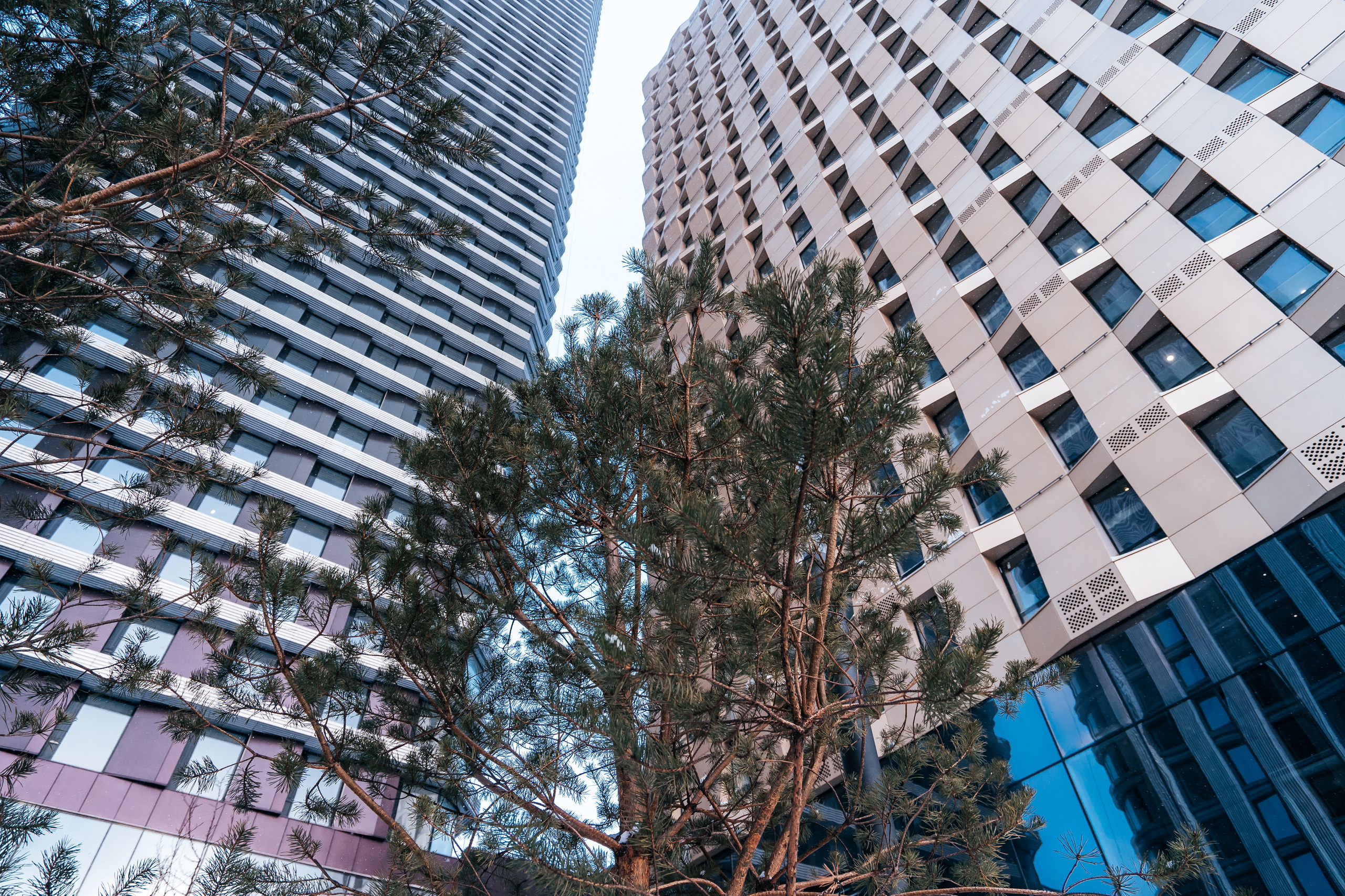 D1, MR Group. @tomrus: Рустам Шагиморданов — фотограф