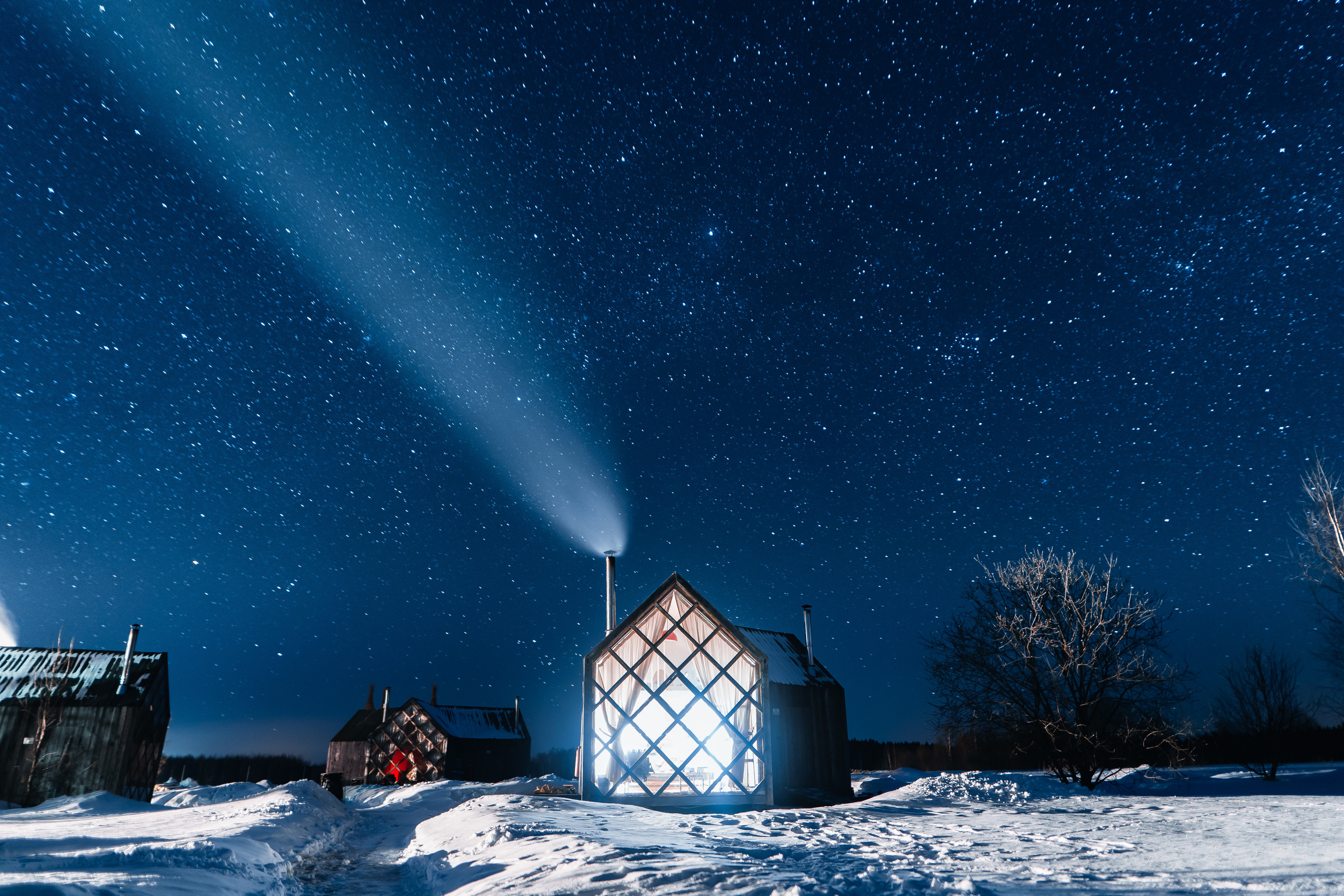Клевер, Никола — Ленивец. @tomrus: Рустам Шагиморданов — фотограф